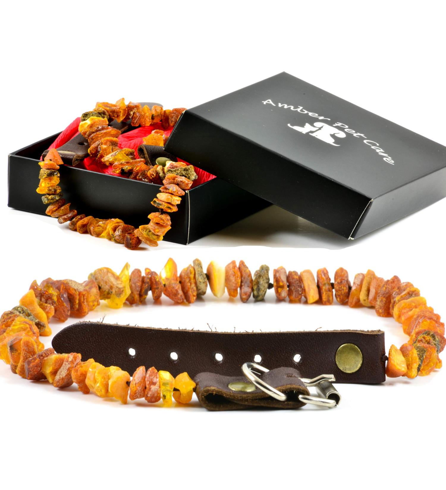 Premium Baltic Amber Dog & Cat Flea Collar - Elegance Tick Protection with Leather Clasp (20-25 cm) - Buy Online on GoSupps.com