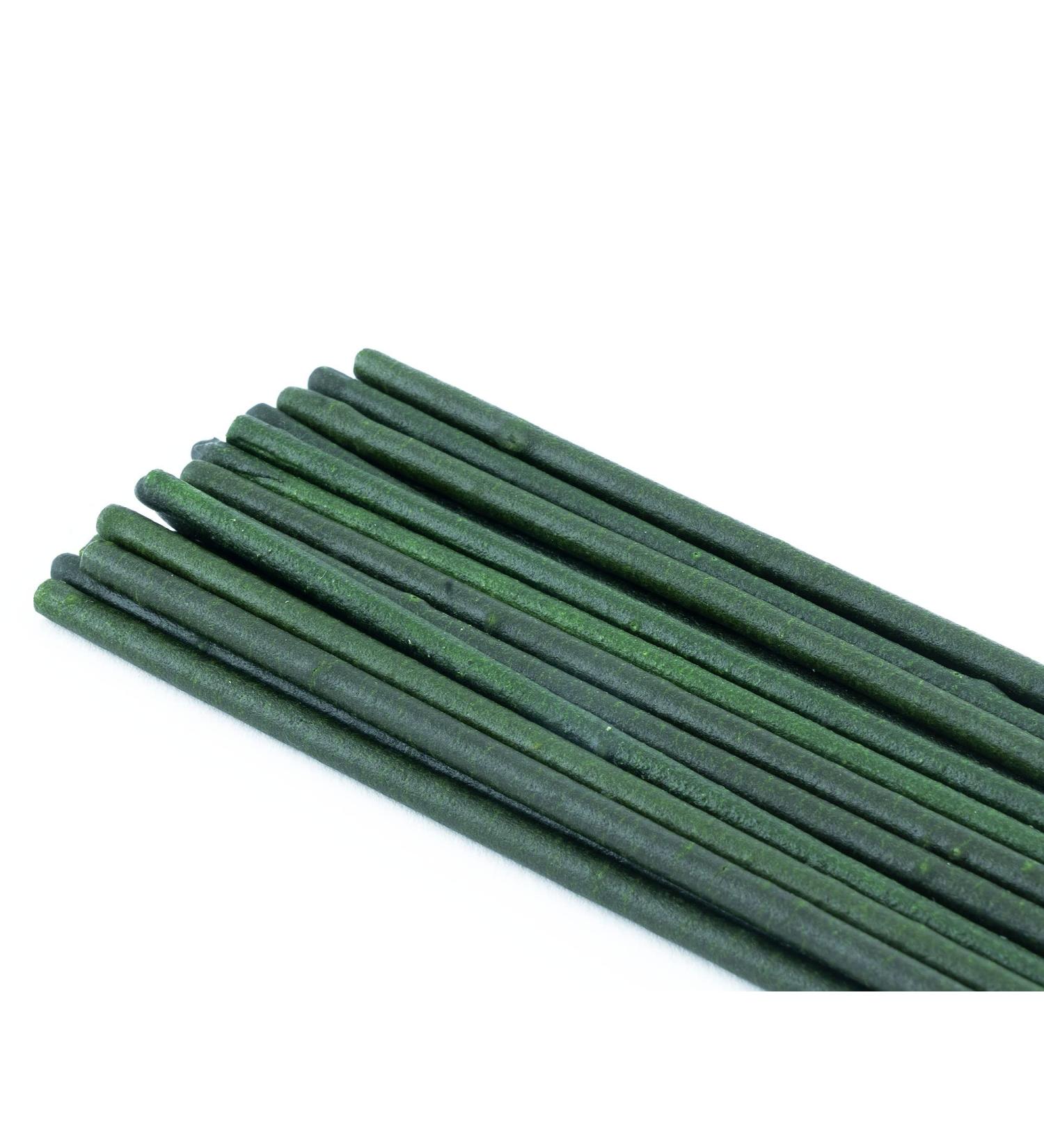 NatureHolic - Shrimp Lollipops "Popeye - Spinach" - Supplementary food for invertebrates - With valuable spinach - For special feeding moments - Made in Germany - 1 - Buy Online on GoSupps.com