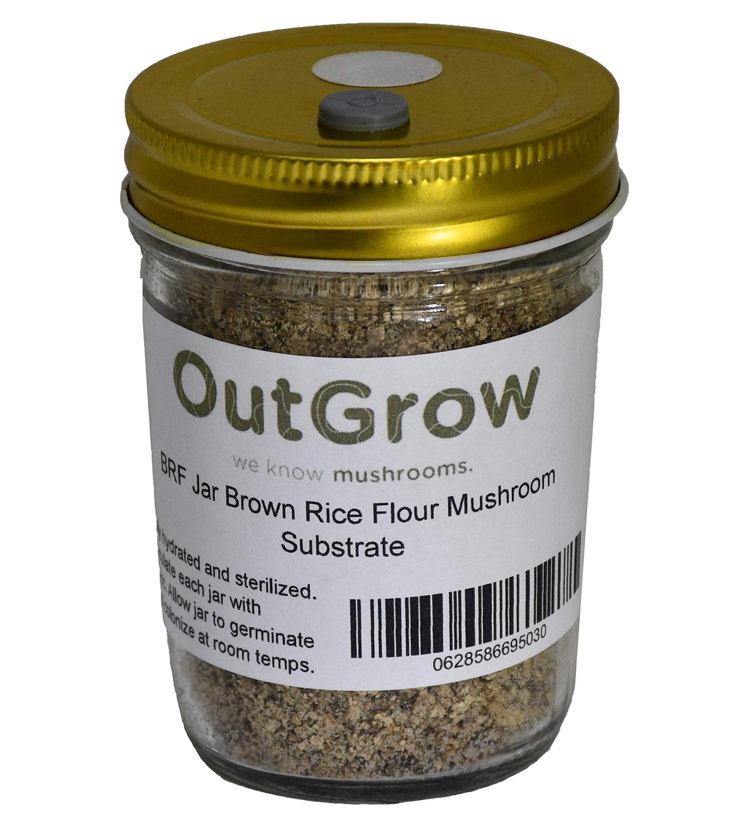 BRF Jars Brown Rice Flour Mushroom Substrate