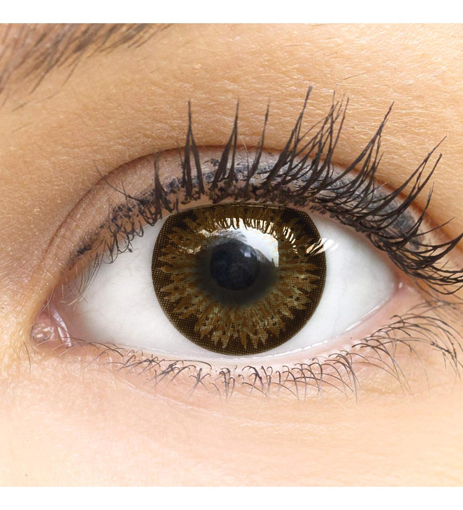 Dark Brown Contact Lenses - Choco Dark Brown Silicone Comfort -3.50 Diopters 1 Pair with Container | GlamLens - Buy Online on GoSupps.com