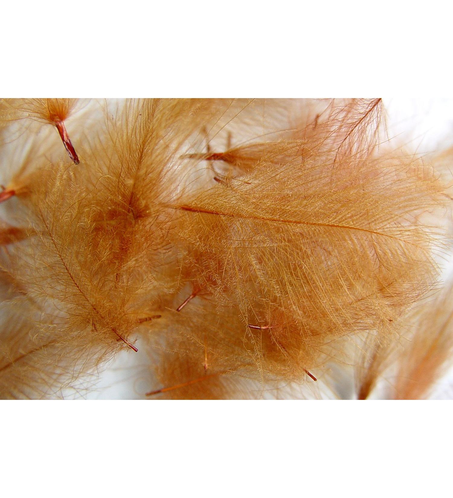 Pechetruite 1g - CDC (Cul de Canard) Feathers - Rusty Spinner - For Fly Tying