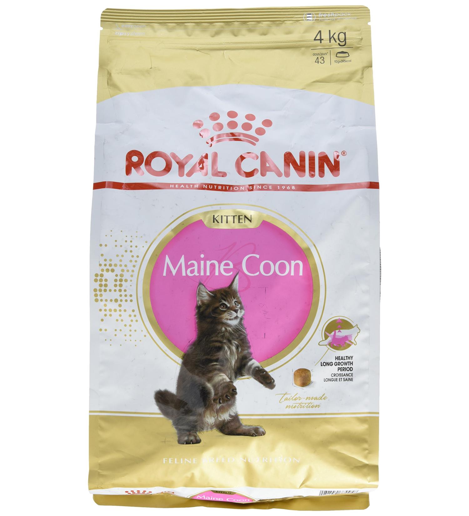 Royal Canin Kitten Food Maine Coon 36 Dry Mix 4 kg Variety 4 kg (Pack of 1) - Buy Online on GoSupps.com