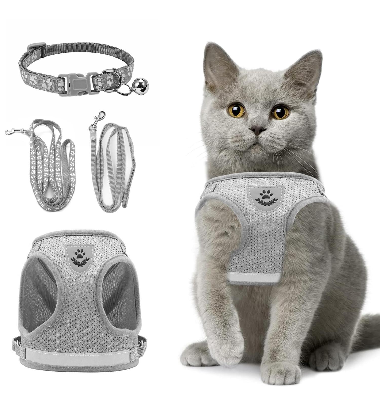 Adjustable Cat Dishes with Leash - Soft Lining Breathable Mesh & Reflective Outdoor Training Set XS (Gray) | International Shipping Available - Buy Online on GoSupps.com