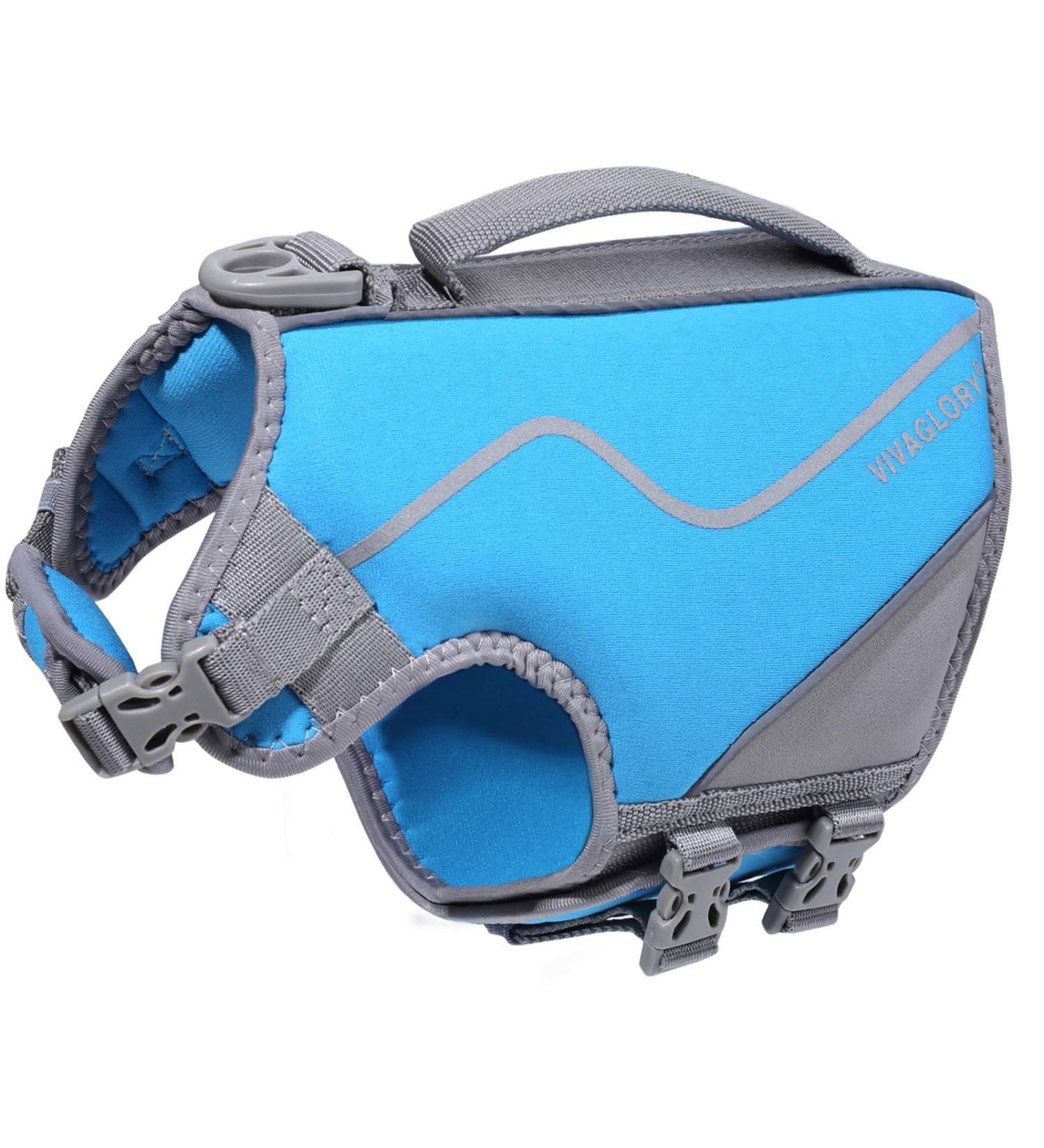Vivaglory Sporty Dog Vest - Durable Neoprene Pet Security Vest with Velcro XS (43-51cm Chest) - Comfortable & Stylish Rescue Gear in Blue - Buy Online on GoSupps.com
