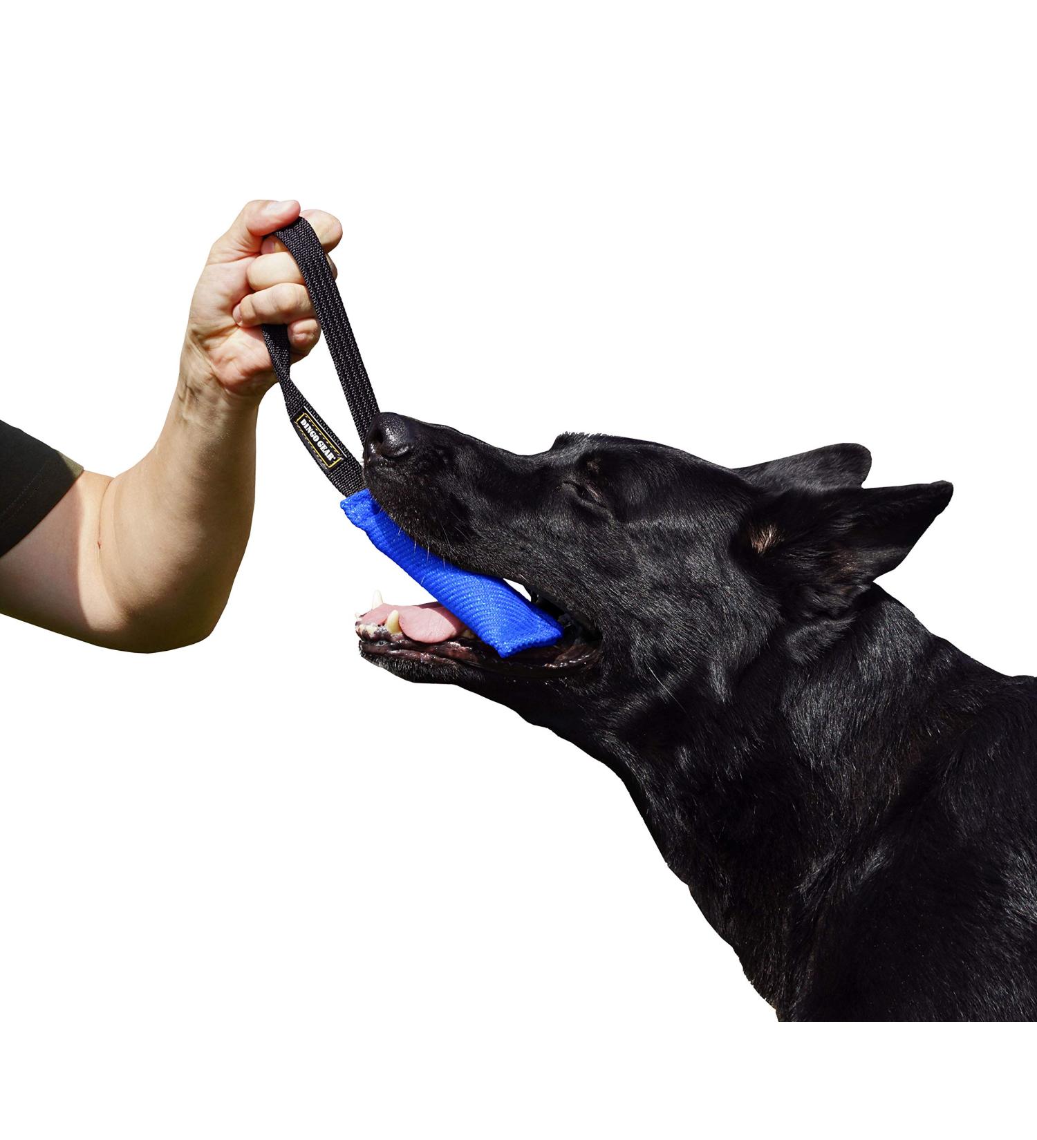 Dingo Gear Cotton Nylon Bite Sausage - Dog Training IGP IPO Obedience Protection - 15x5 cm Blue Handle (S00060) - Buy Online on GoSupps.com