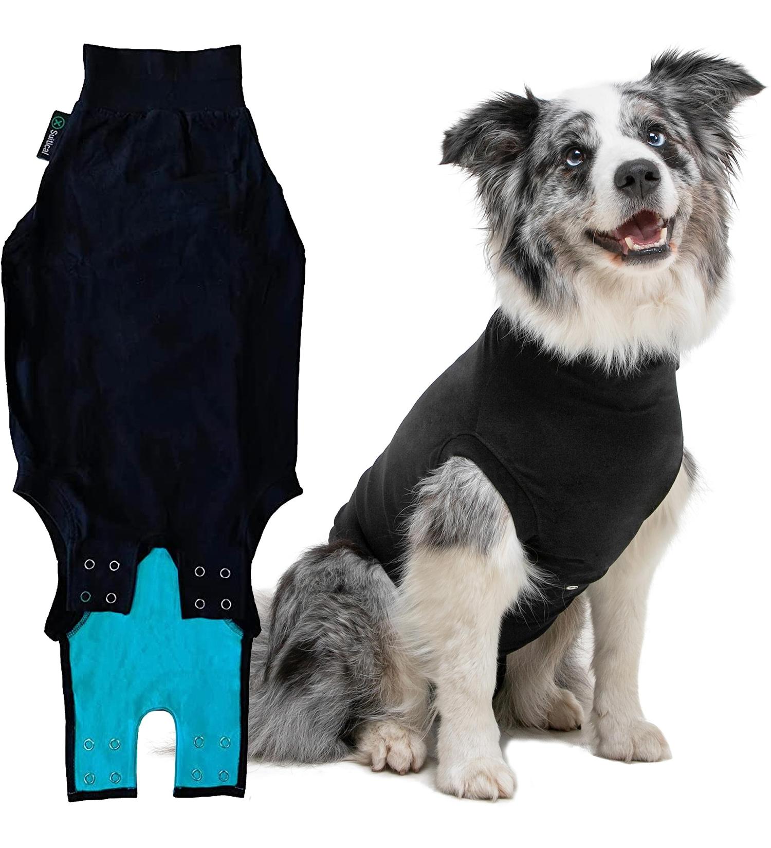Buy Suitical Recovery Suit for Dogs - M+ Size in Black | Ideal Post-Surgery Pet Wear - International Shipping Available - Buy Online on GoSupps.com