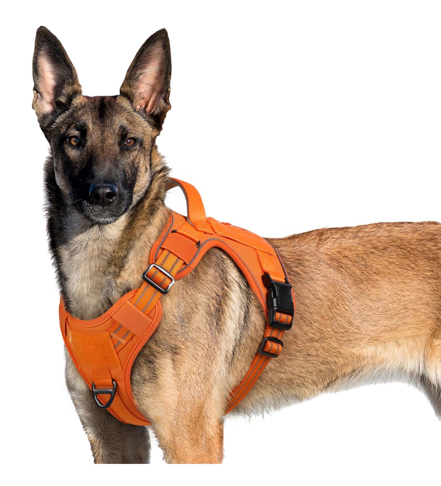 Rabbitgoo Tactical Dog Harness for Large Dogs - Adjustable Durable with Handles & Metal Buckles for Hiking - XL Orange - Buy Online on GoSupps.com