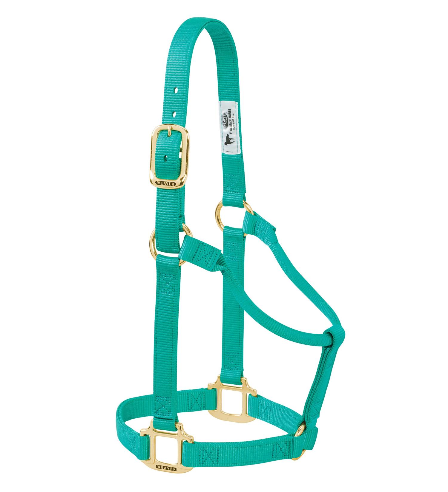 WEAVER Leather Non-adjustable Halter Emerald Green Average Horse