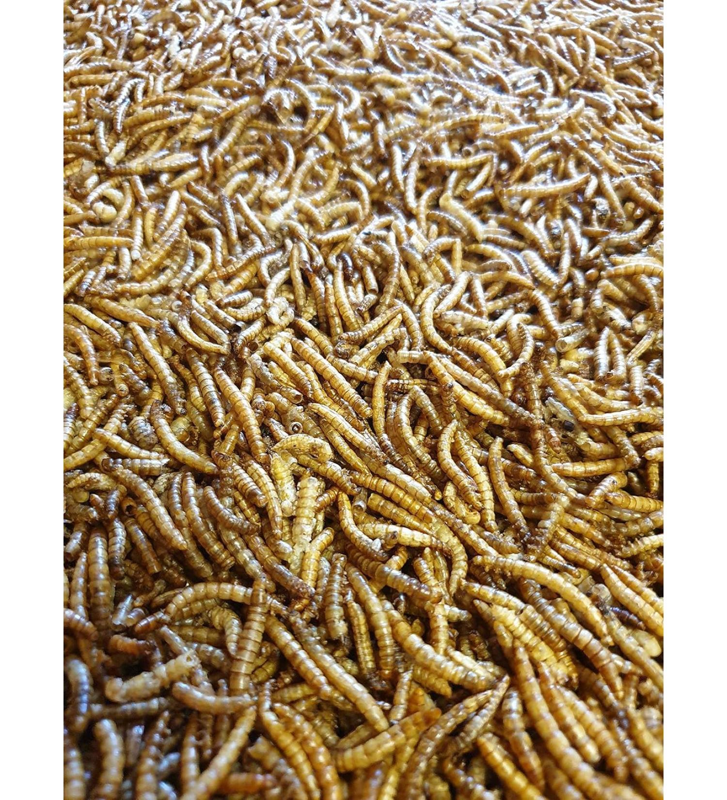 2KG Dried Mealworms for Wild Bird Food - direct deals 123