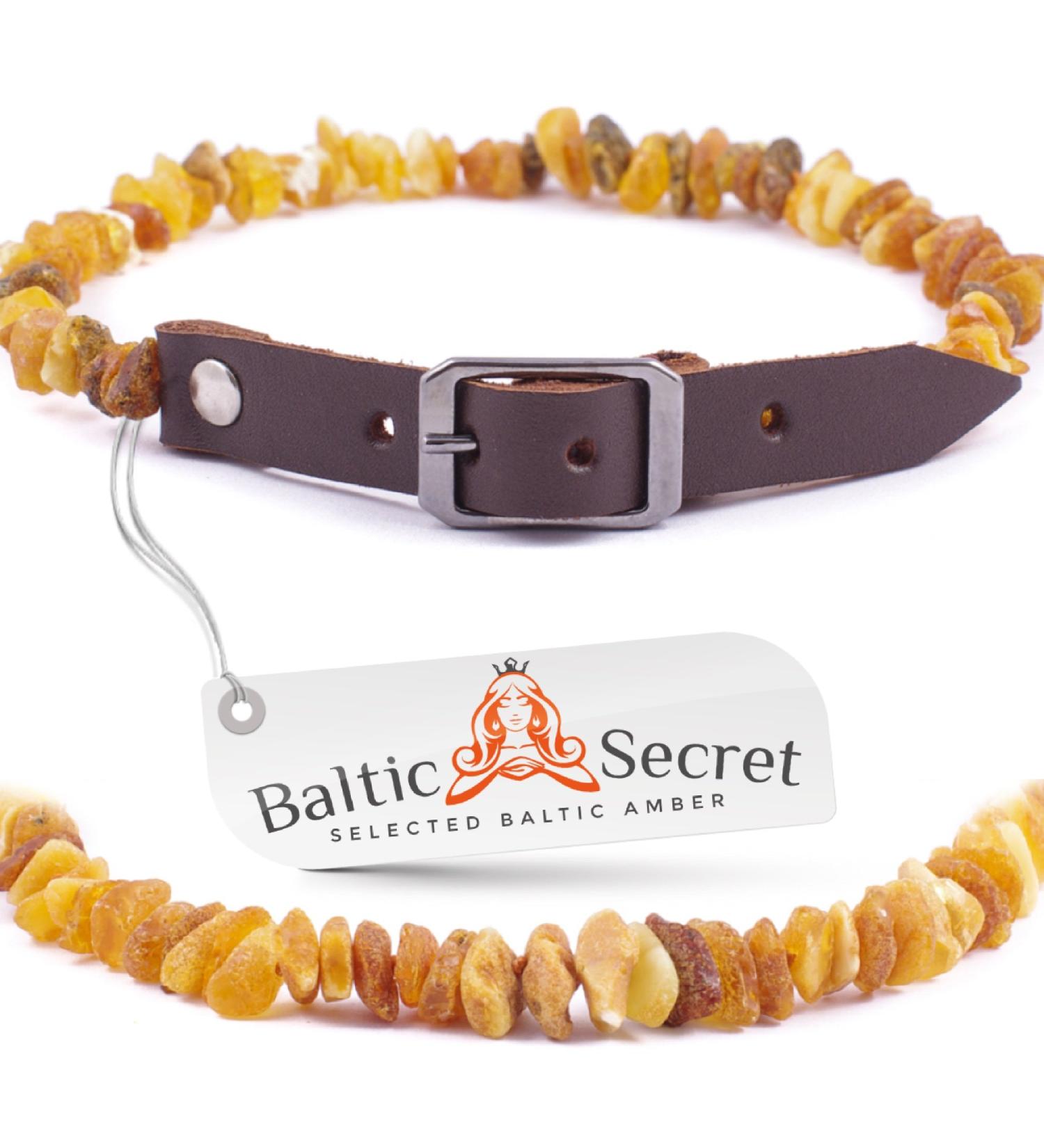 Amber Necklace for Dogs & Cats | Natural Tick & Flea Protection by Baltic Secret - Buy Online on GoSupps.com