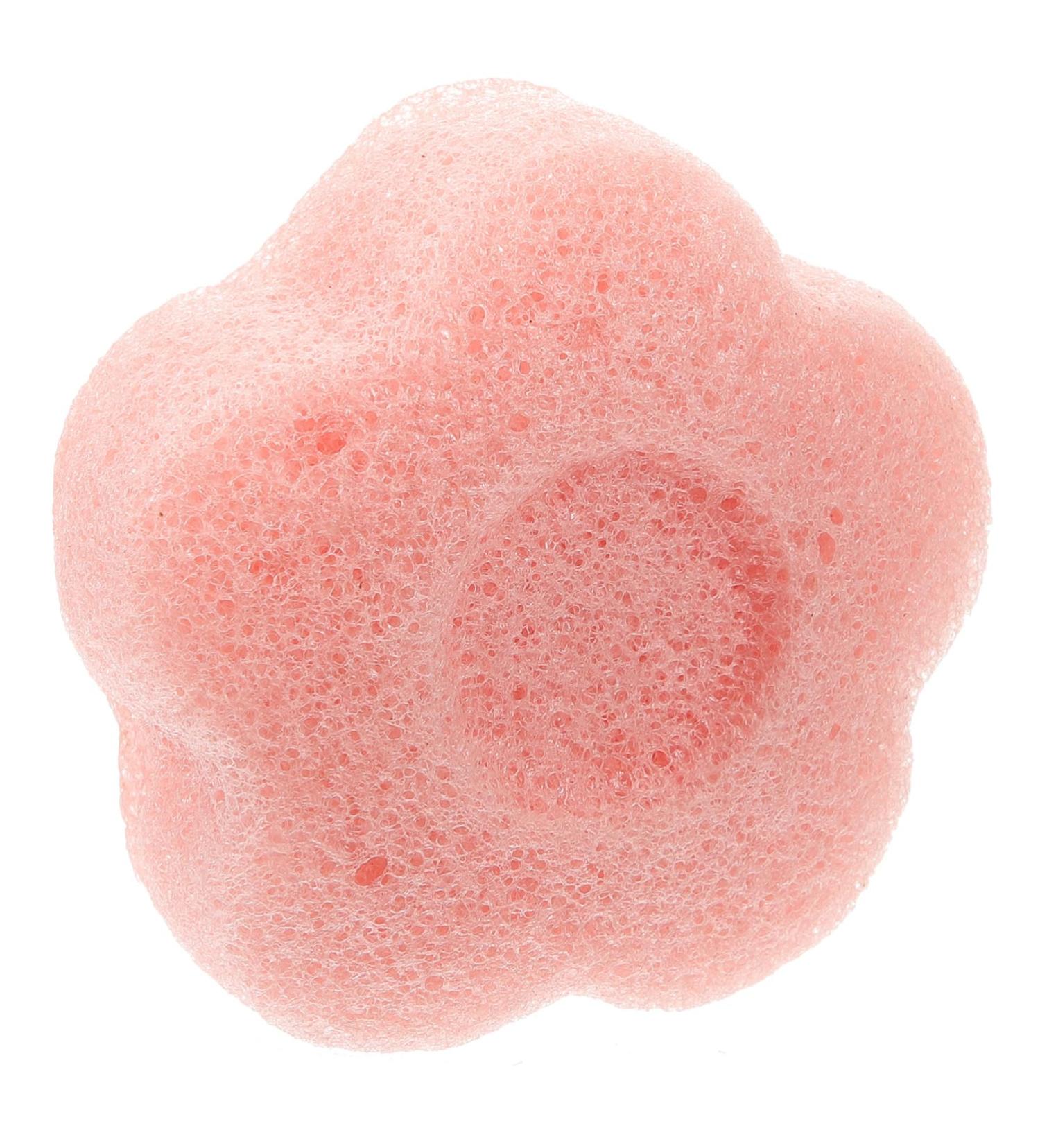 Beavorty Flutter Sector Facial sponges for Washing face The Flowers Plant sponges for facials Tool The face Facial Sponge Round Clean Cute Dry Puff Sponge face - Buy Online on GoSupps.com