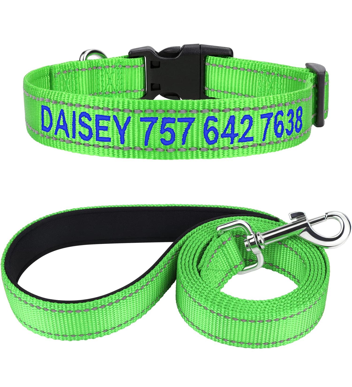 Tagme Reflective Dog Collar & Leash Set - Personalized XL Green Collar & 1.5m Double-Sided Leash for Large Dogs - Perfect for Night Walks - Buy Online on GoSupps.com