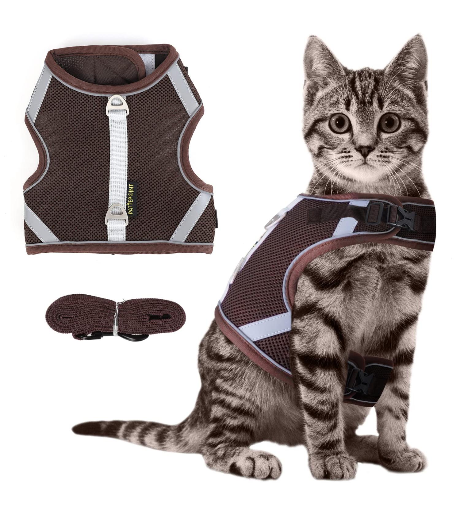 Cat Leash with Dishes - Reflective Cat Dishes & Leash for Safe Outdoor Adventures - Buy Online on GoSupps.com