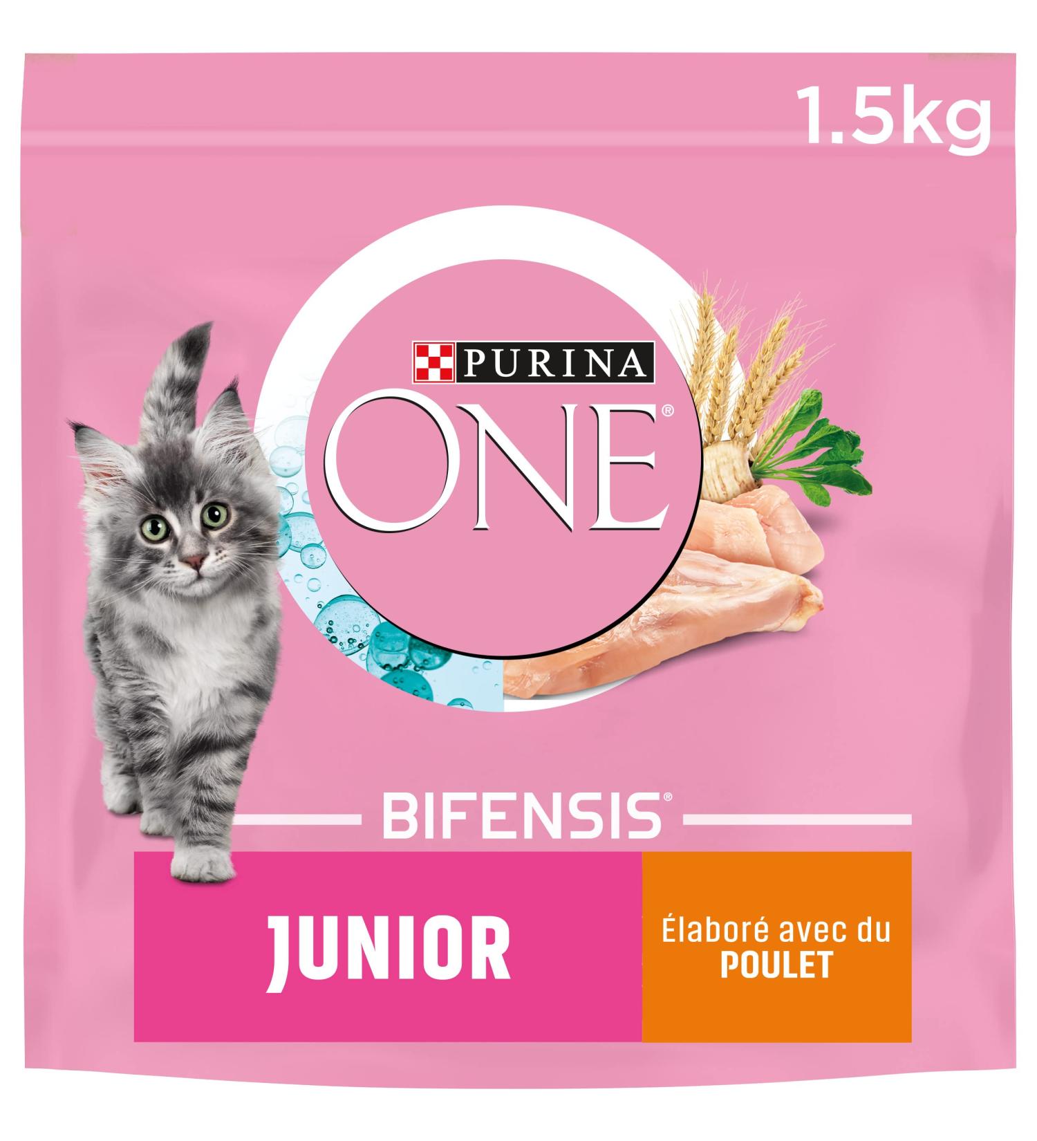 PURINA ONE Bifensis Junior | Chicken Kitten Dry Food | 1.5 kg Bag | Pack of 6 - Buy Online on GoSupps.com