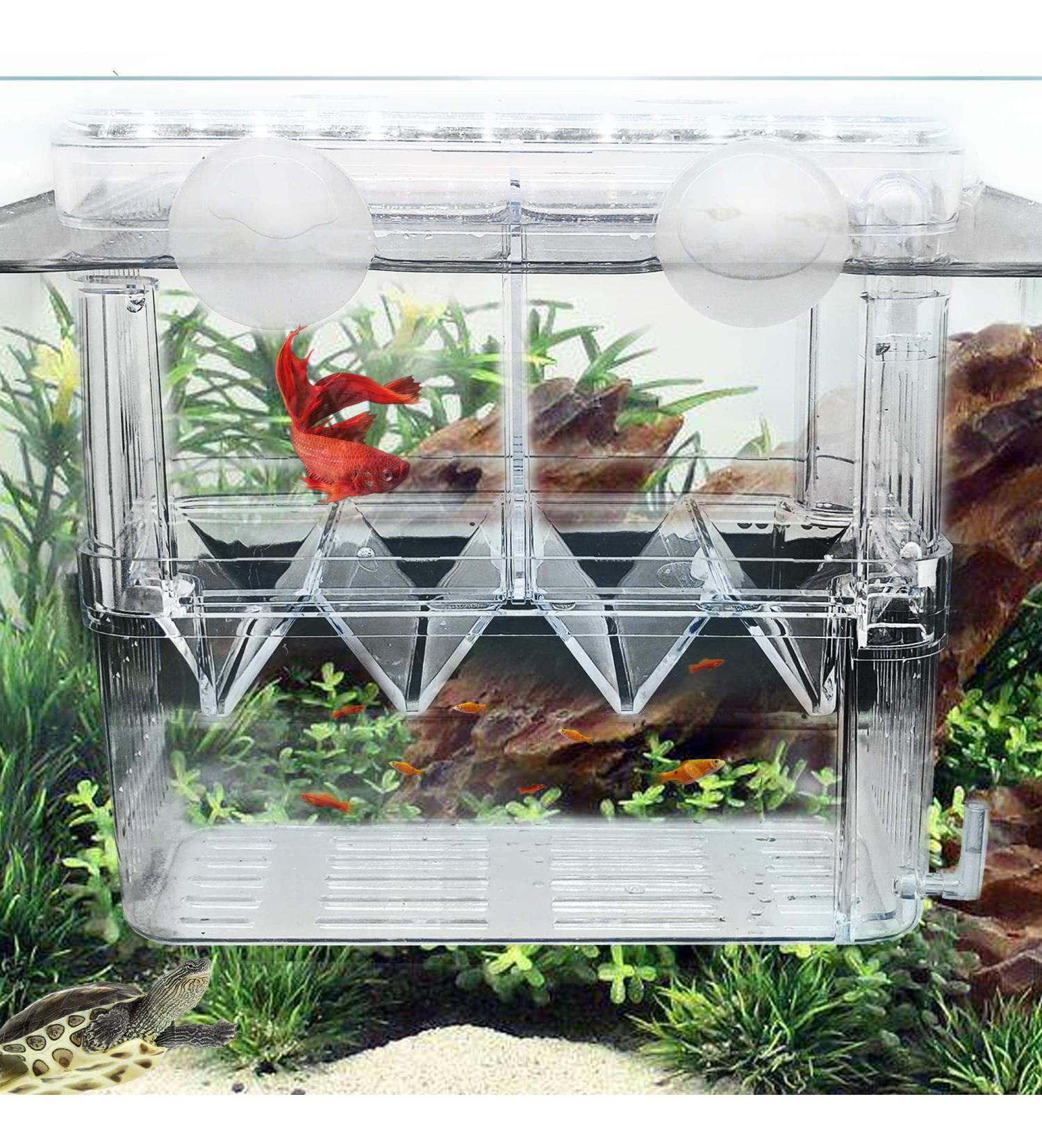 Fortune-Star Fish Breeding Box - Aquarium Hatchery Incubator & Breeder Tank - Buy Online on GoSupps.com