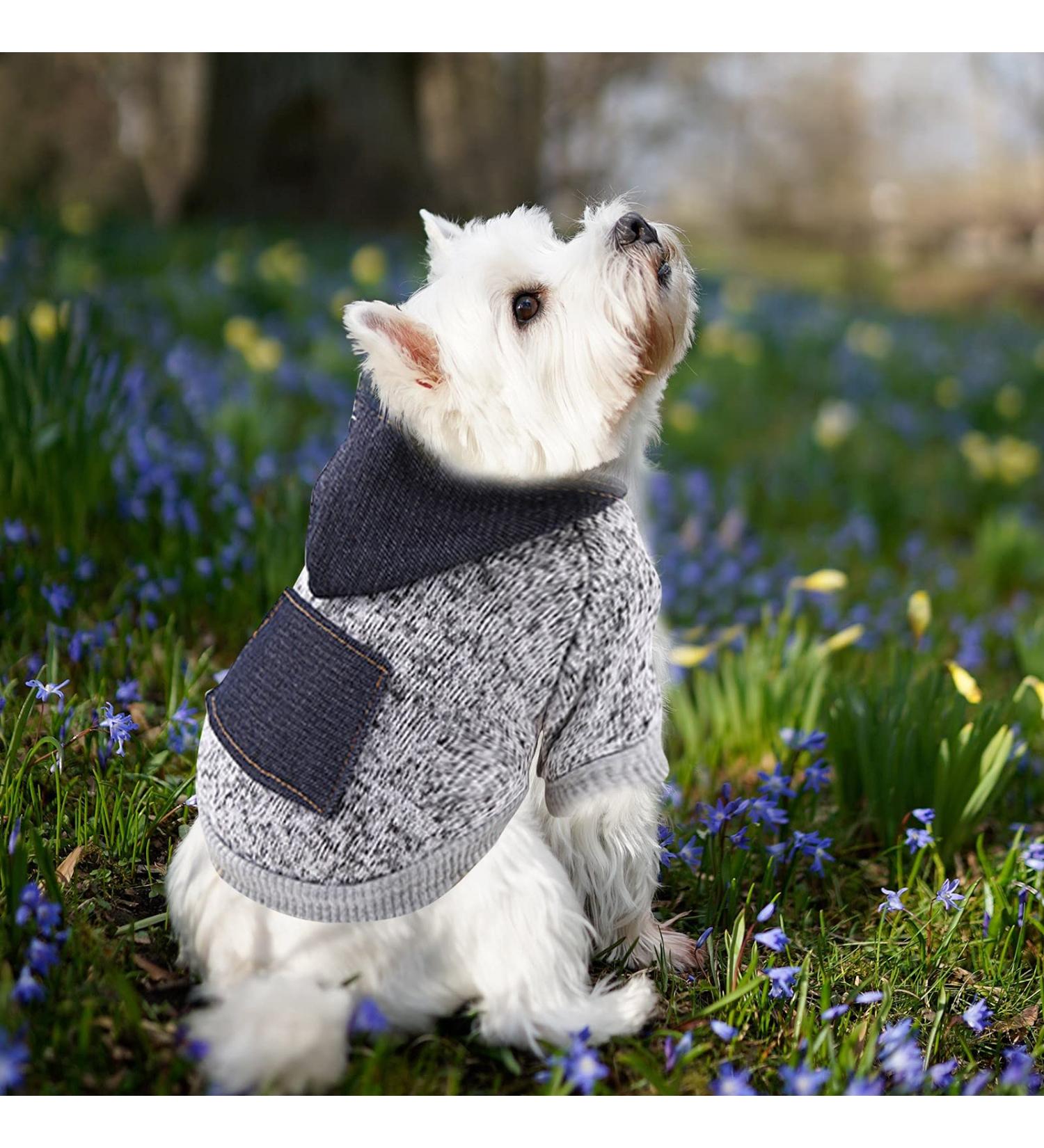 XXL Waterproof Dog Coat - Winter Warm Jacket & Hoodie for Small to Medium Dogs | Fleece Sweater with Bag - Buy Online on GoSupps.com