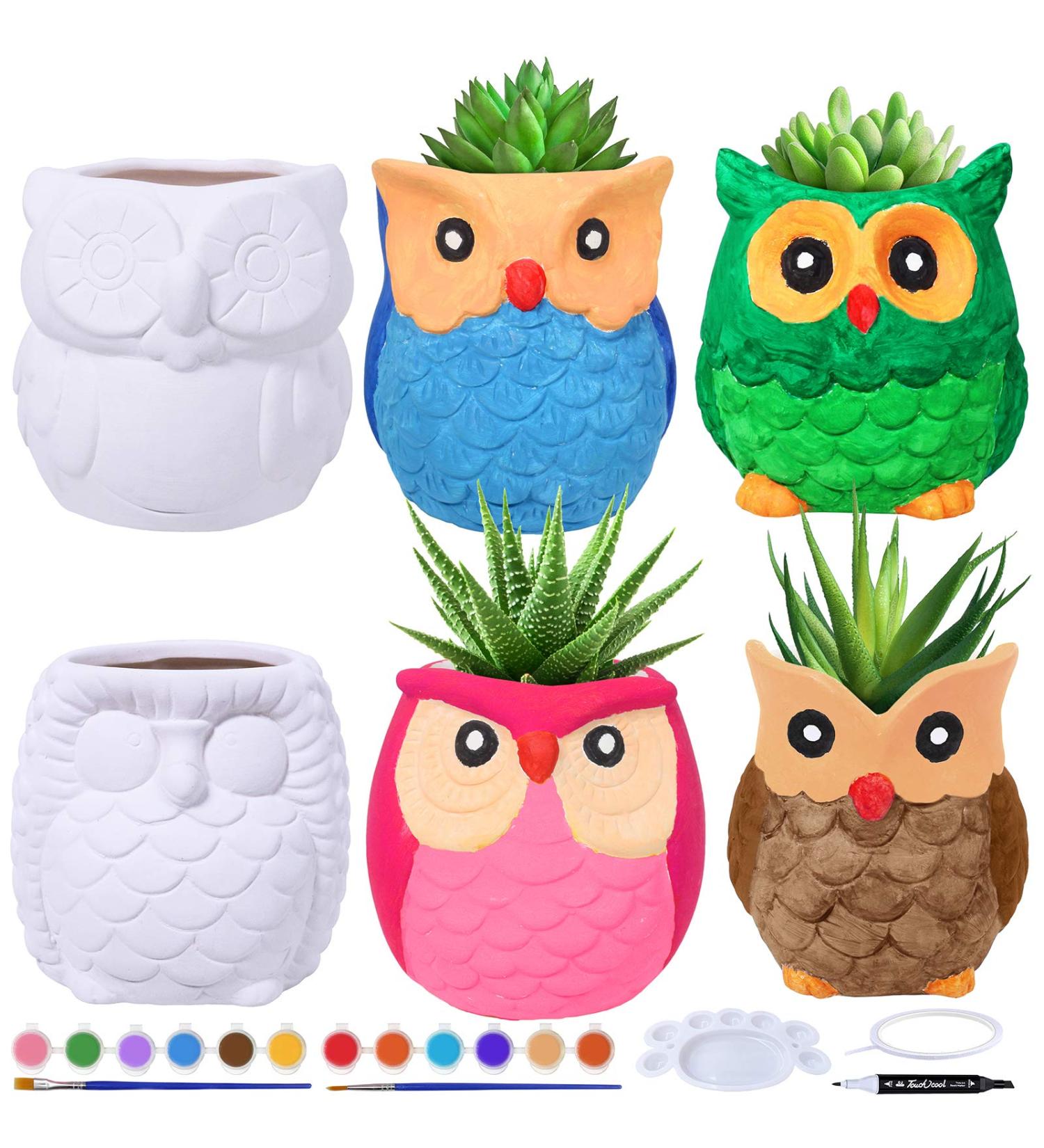 DIY Ceramic Owl Succulent Pots Paint Craft Kit - Set of 6 | Unpainted Bisque Ceramic Flowerpots for Kids Classroom Activities - Buy Online on GoSupps.com