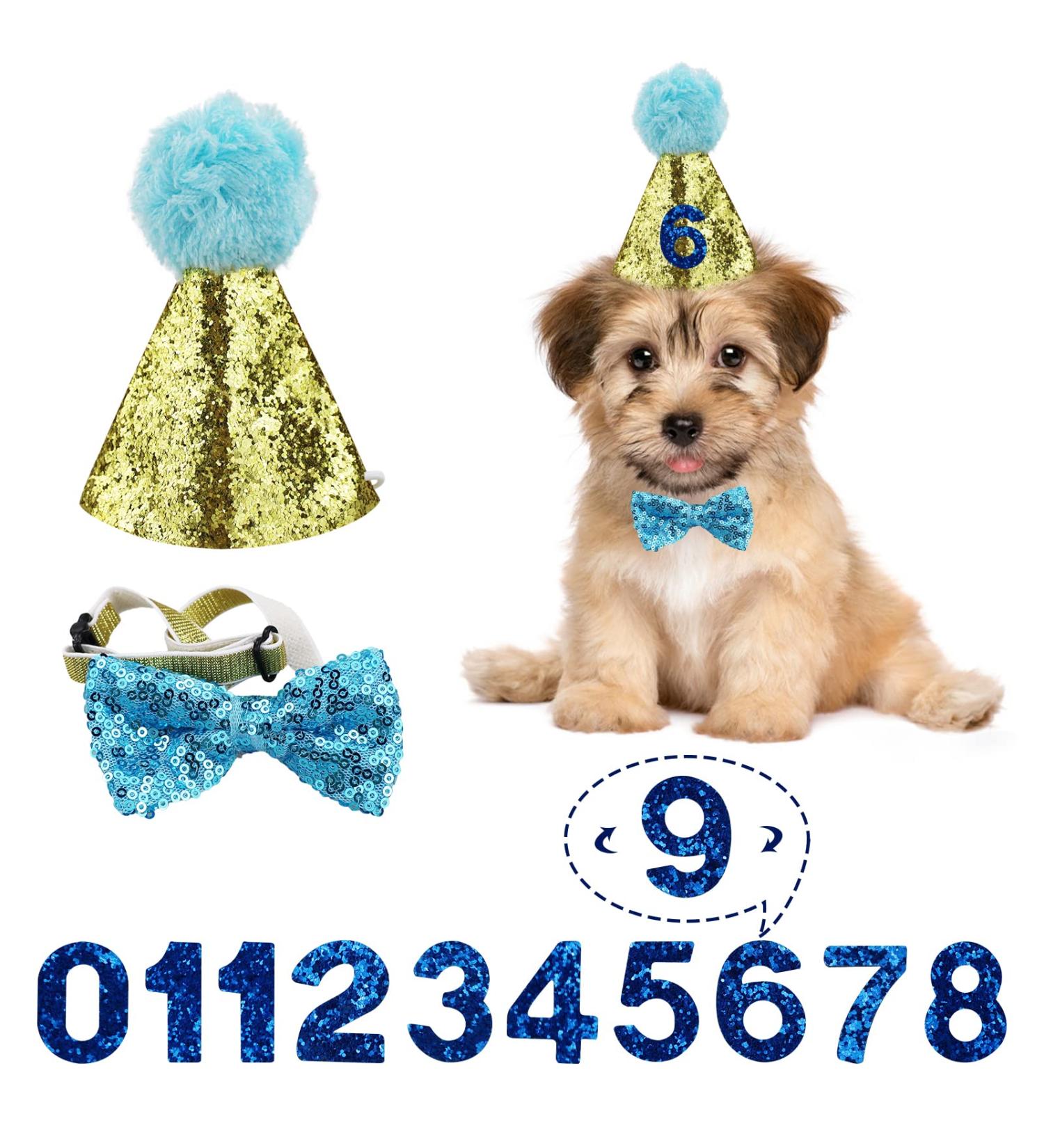 Dog Birthday Hat Pet Birthday Hat Kit with Bow Tie Collar and Blue Number Reusable Dog Cats Birthday Cap for Pet Puppy Cat Birthday Party Decorations Pet Costumes Headwear Accessories (Blue) - Buy Online on GoSupps.com