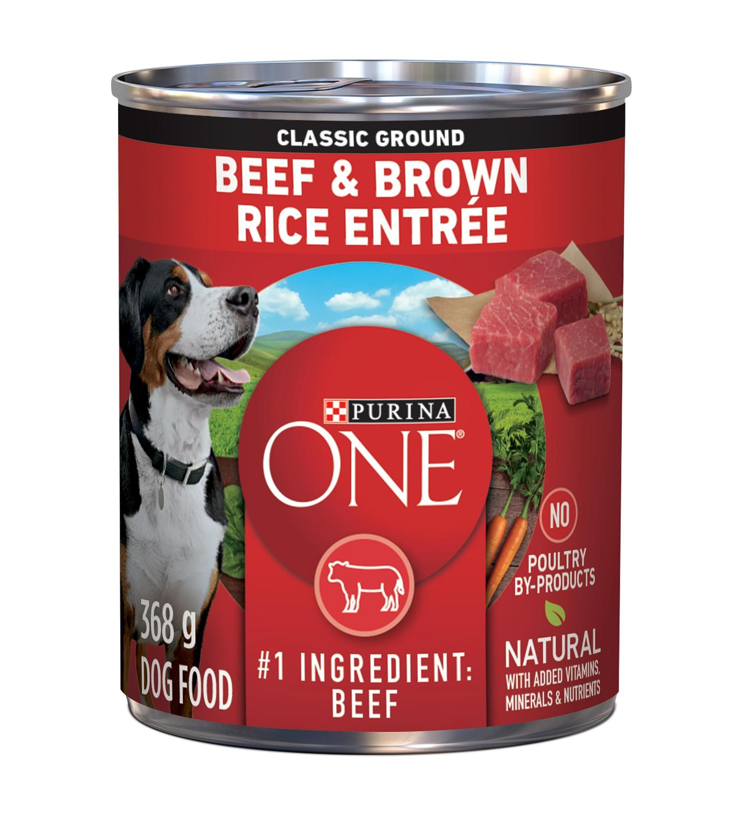 Purina ONE Classic Ground Wet Dog Food Beef & Brown Rice Entree - 368 g Can (12 Pack) - Buy Online on GoSupps.com