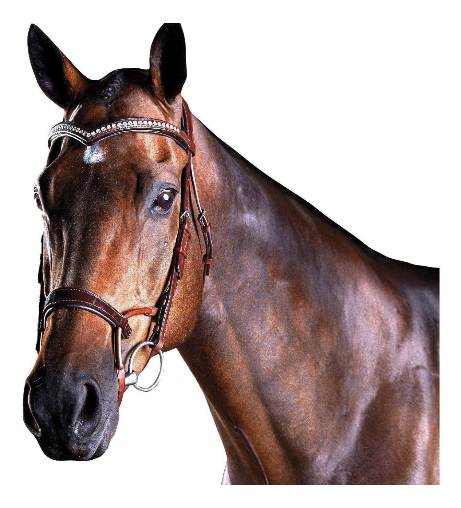 Collegiate ComFiTec Patent Snaffle Bridle - Brown Cob | Premium Quality Equestrian Gear for International Shipping - Buy Online on GoSupps.com