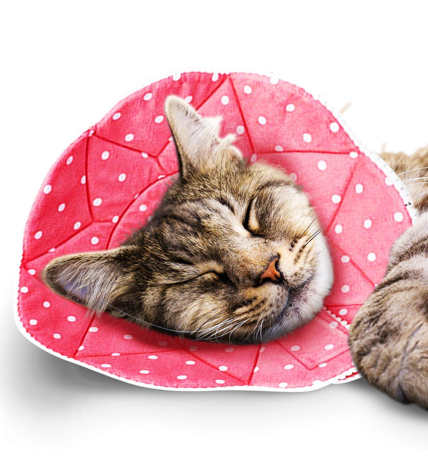 SunGrow Soft Cat Recovery Cone Collar for Easy Nail Cutting - Pink Polka (S 7.5-9 Neck) - Buy Online on GoSupps.com