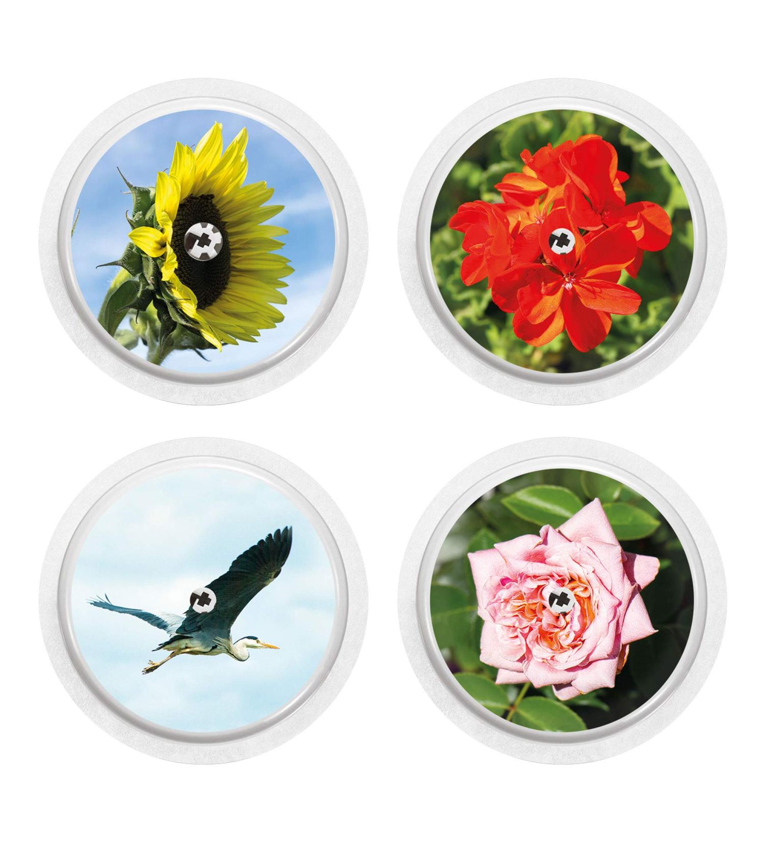 Sticker for FreeStyle Libre 2 Sensor Set 4 myDili Diabetes Accessories