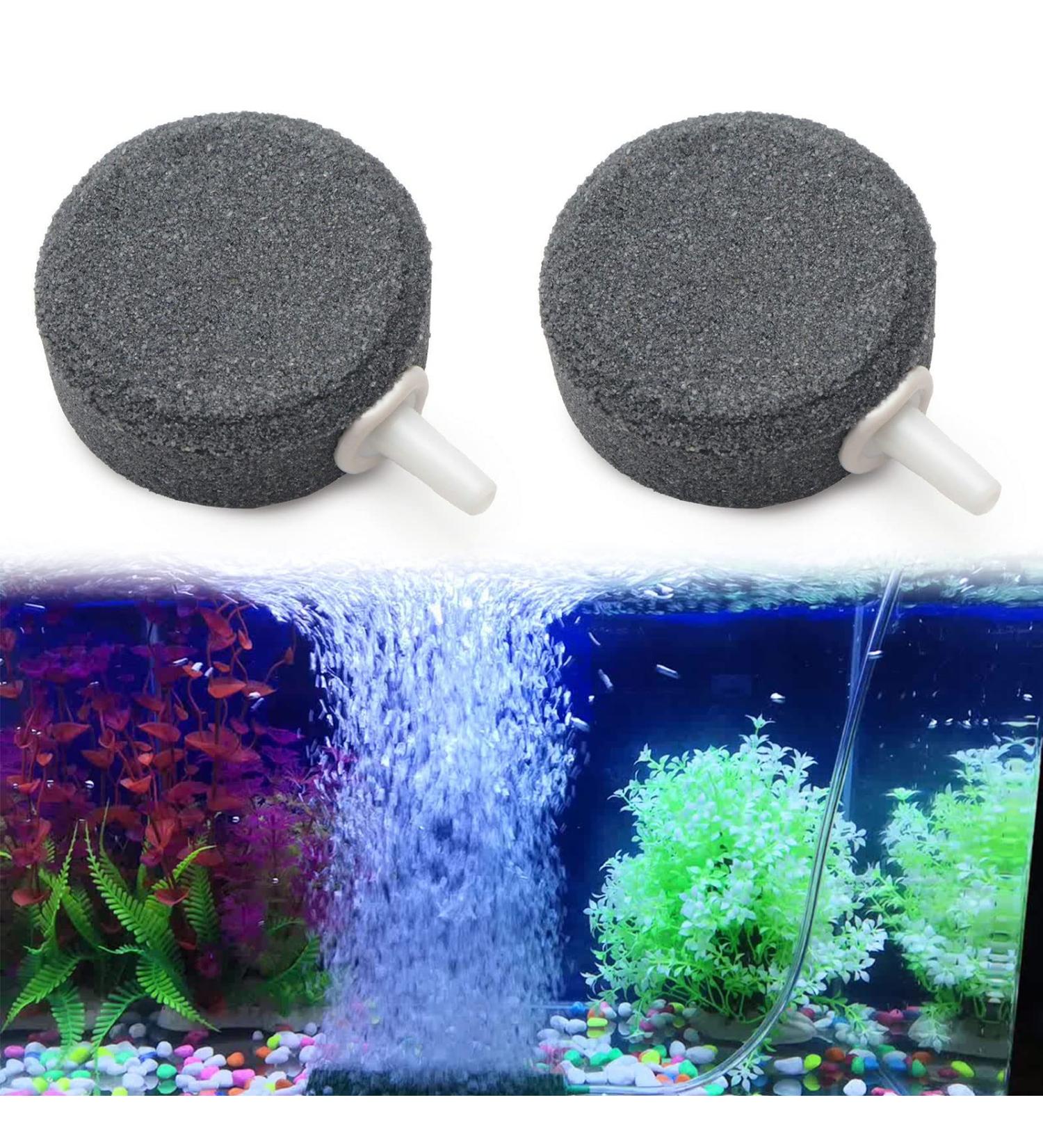 Air Stones for Aquariums - 4cm Oxygen Stone Discs for Air Pumps | 2-Pack Bladder Siphon for Fish Tanks Buckets & Small Ponds - Buy Online on GoSupps.com