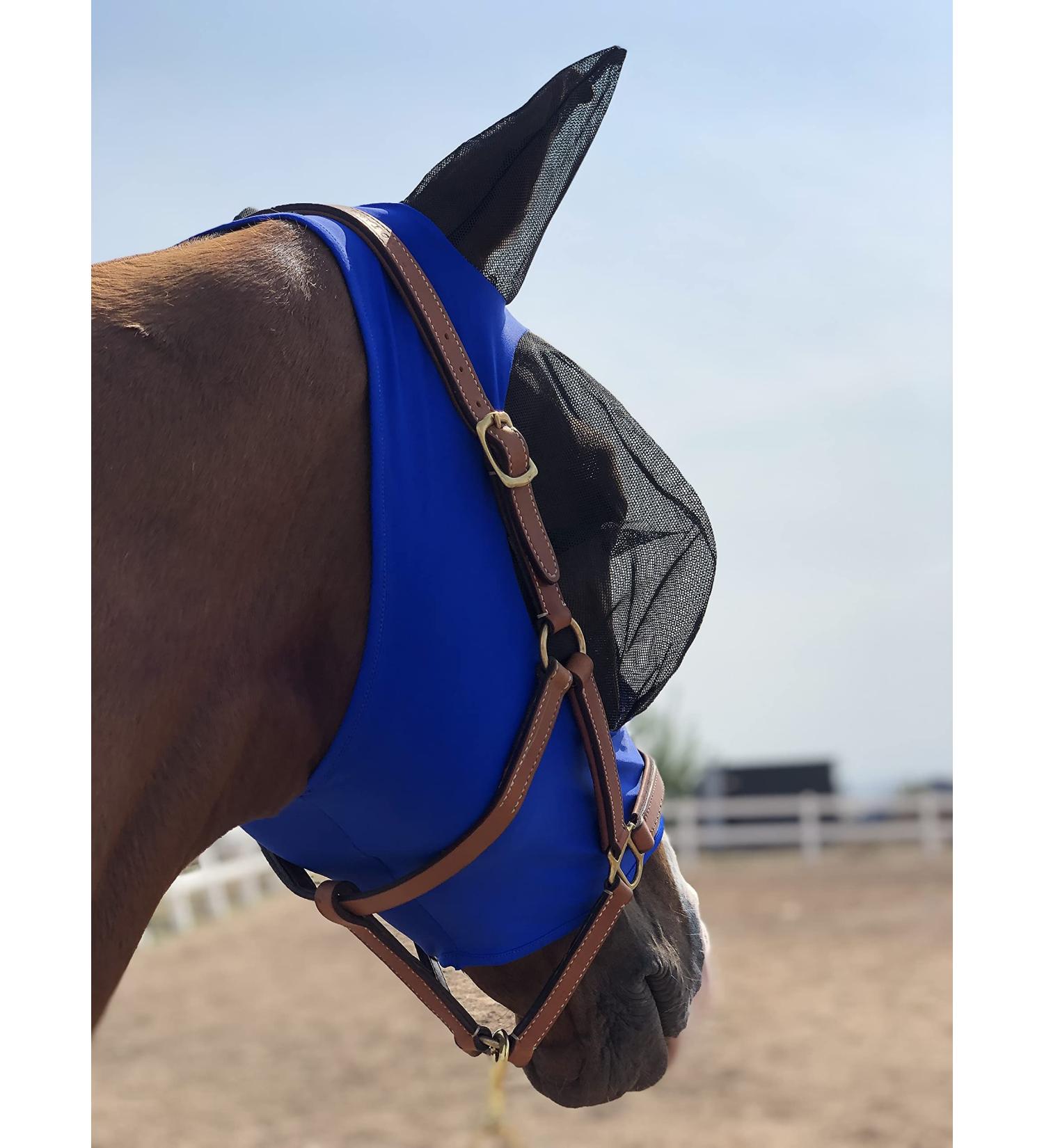 TGW RIDING Horse Fly Mask - Super Comfort & Elasticity with Ears (M Royal Blue) | International Shipping Available - Buy Online on GoSupps.com