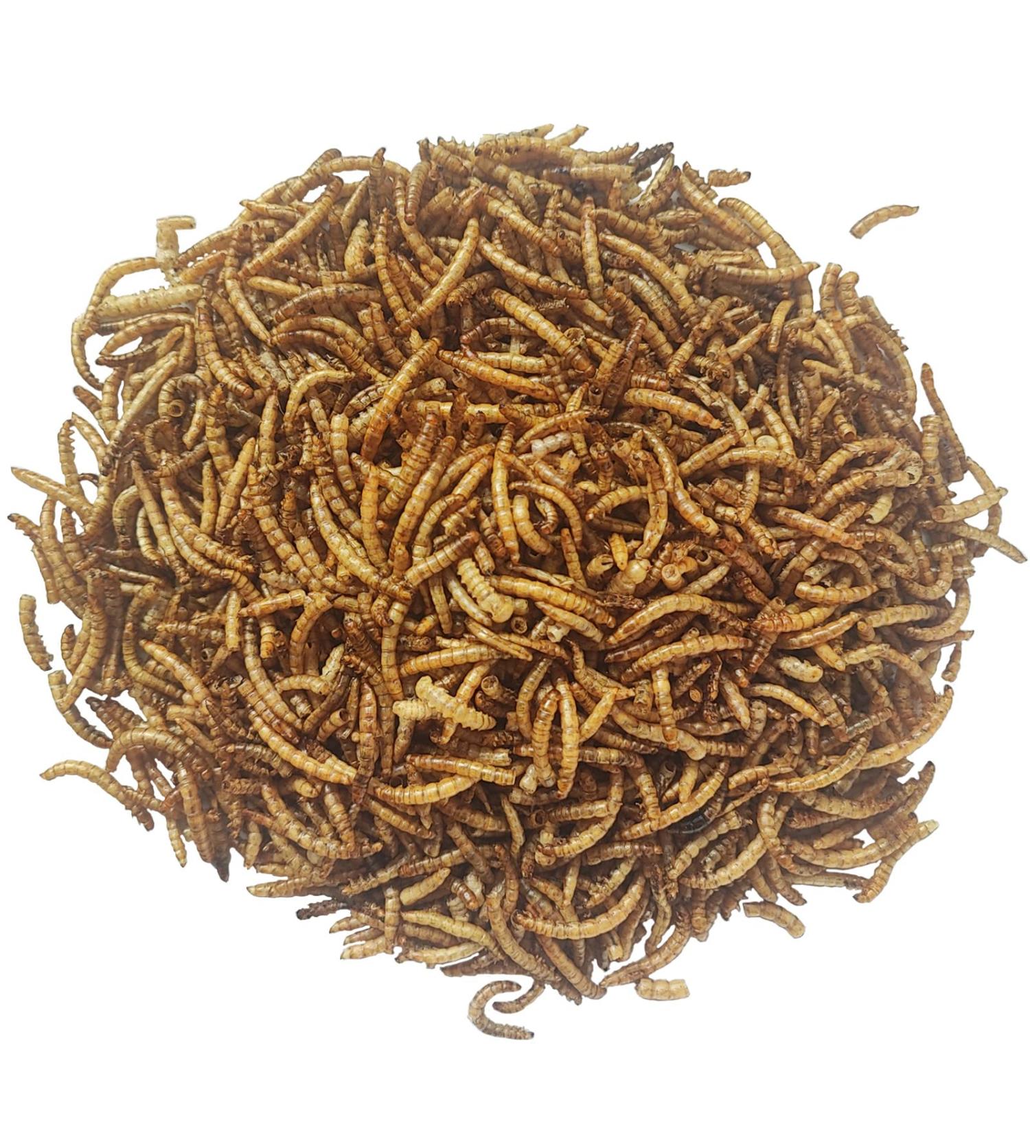 5 kg Dried Mealworms - Premium Bird Fish Rodent Reptile & Hedgehog Food | International Shipping - Buy Online on GoSupps.com