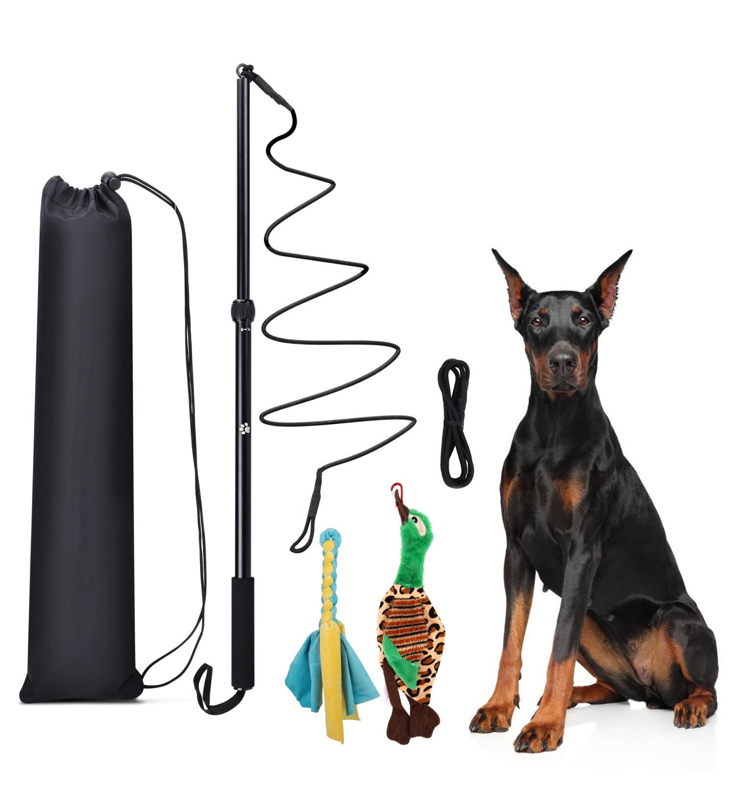 KOXXUD Dog Charm - Professional Toy for Small & Medium Dogs | Ultimate Fun & Physical Utilization - Rope Strip & Duck - Buy Online on GoSupps.com