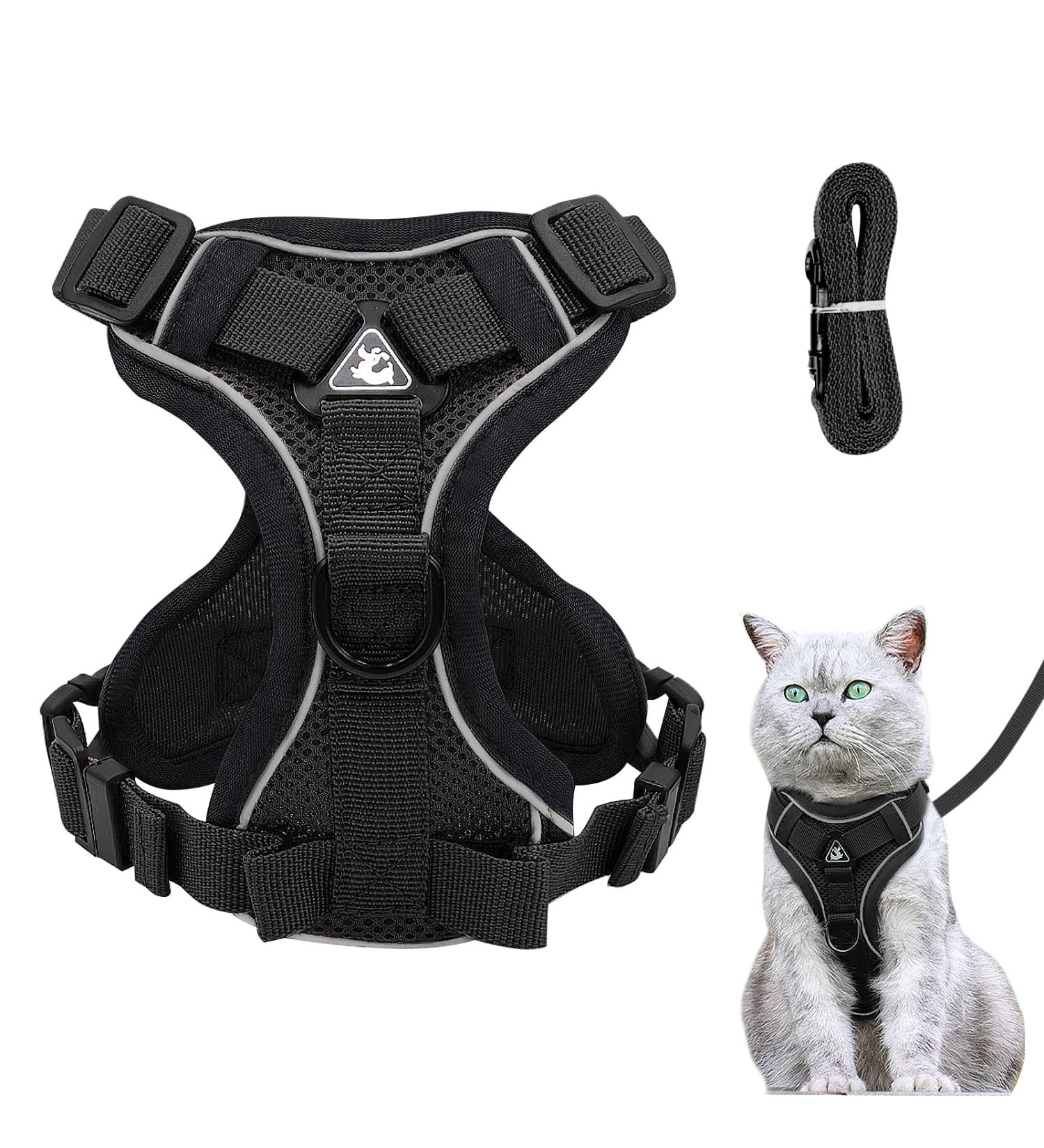Adjustable Cat Dishes for Cats & Kittens - Black - Optimal Feeding Solution for Dogs & Puppies - Buy Online on GoSupps.com