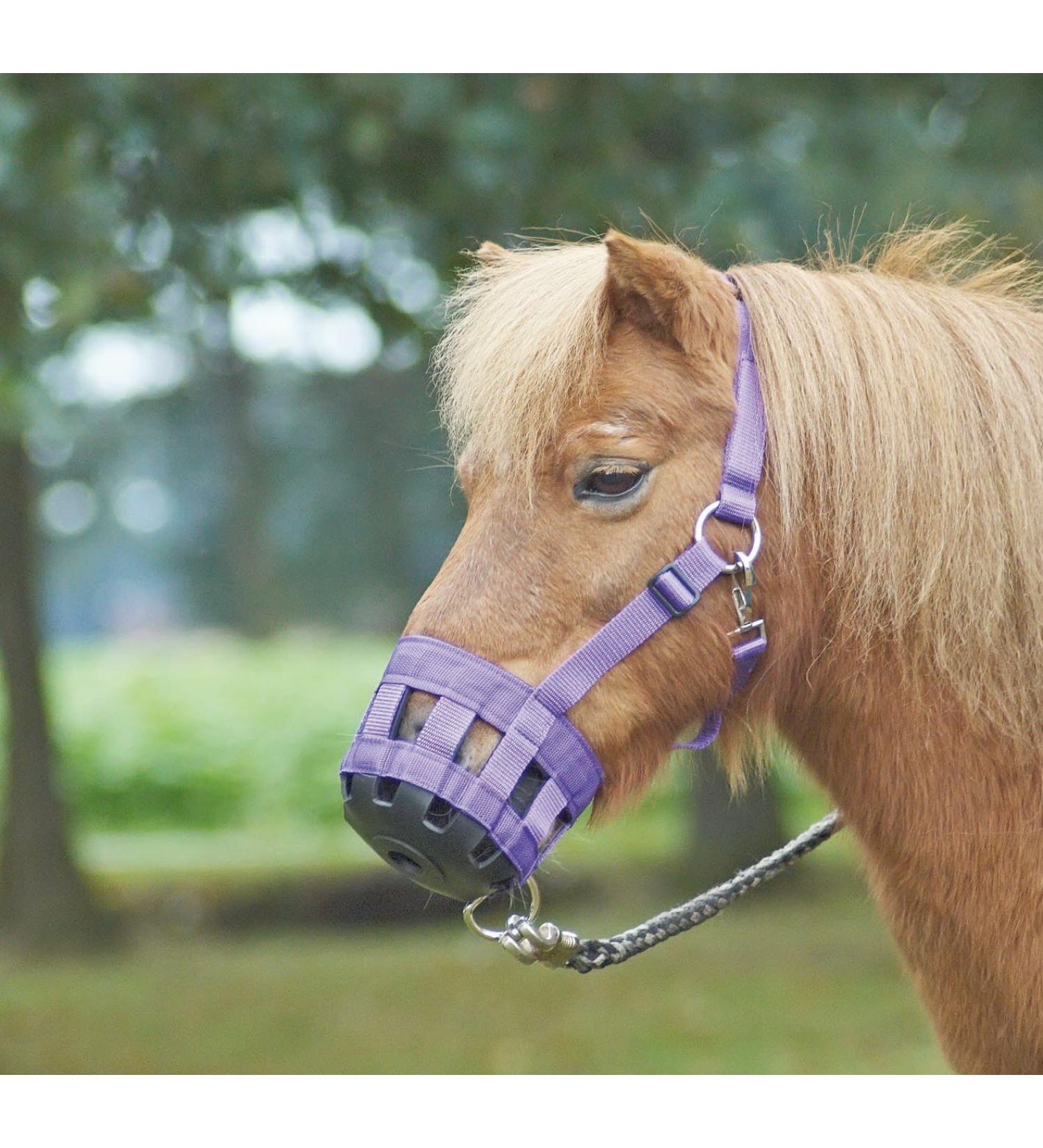 BUSSE grazing muzzle CLASSIC royal blue thoroughbred