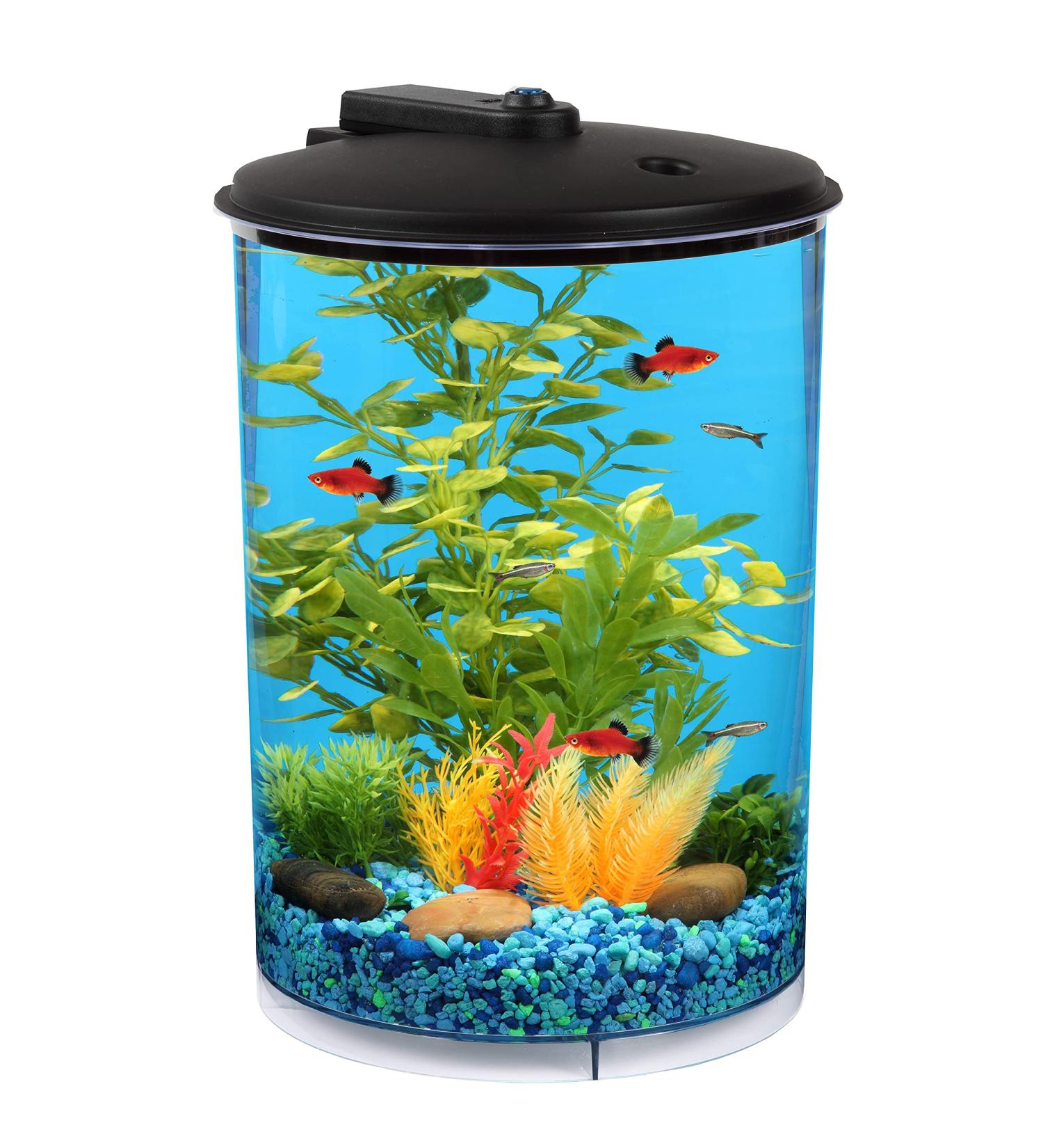 Koller Products 3-Gallon 360 Aquarium with LED Lighting, Power Filter - Ideal for Tropical Fish - Crystal Clear Clarity - 7 Color Choices AP360A-3FFP - Buy Online on GoSupps.com