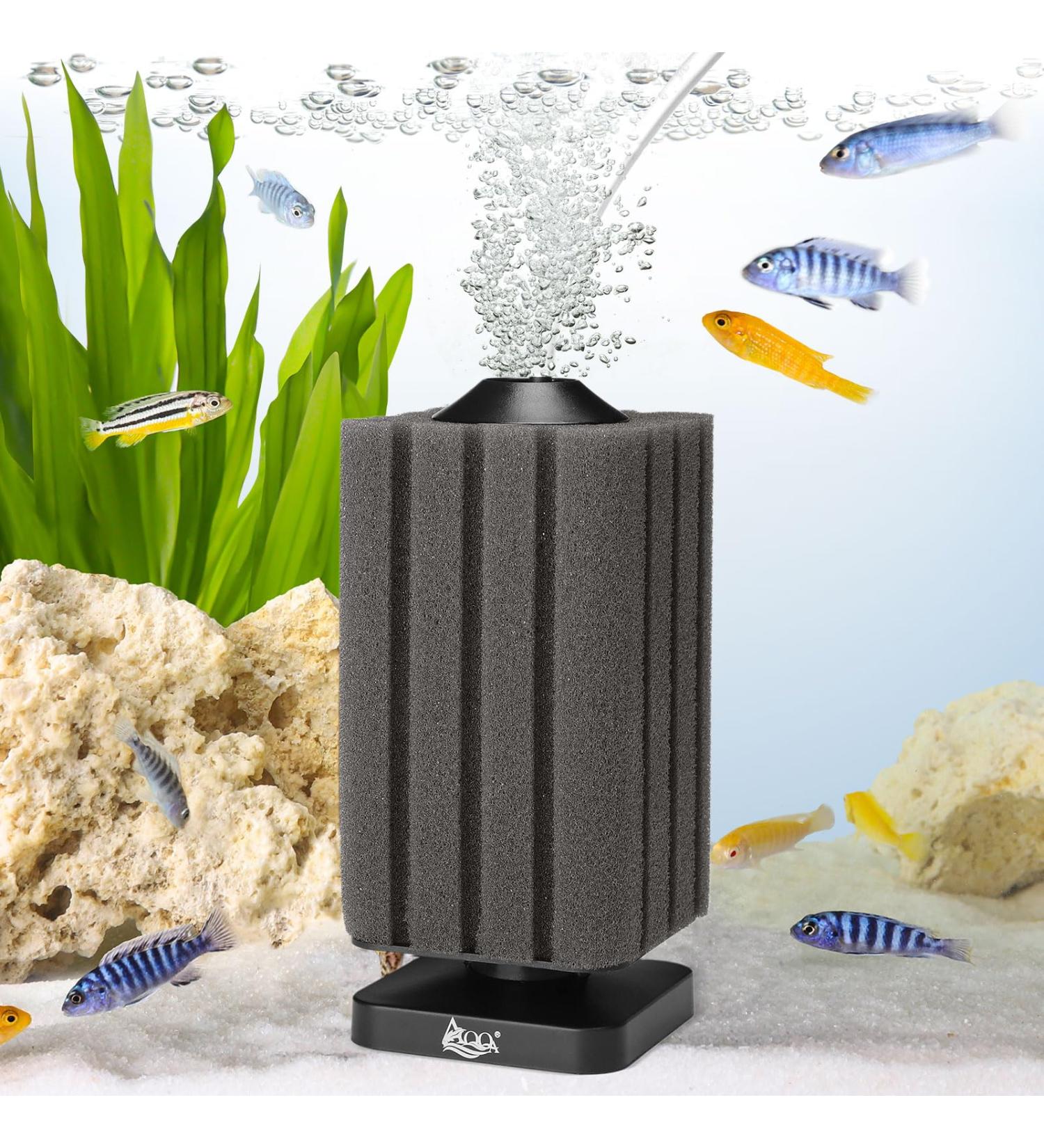 AQQA Aquarium Sponge Filter - 2024 Upgrade for Biological & Mechanical Filtration | Includes 1 Replacement Sponge (S for 20-120L) | International Shipping Available - Buy Online on GoSupps.com