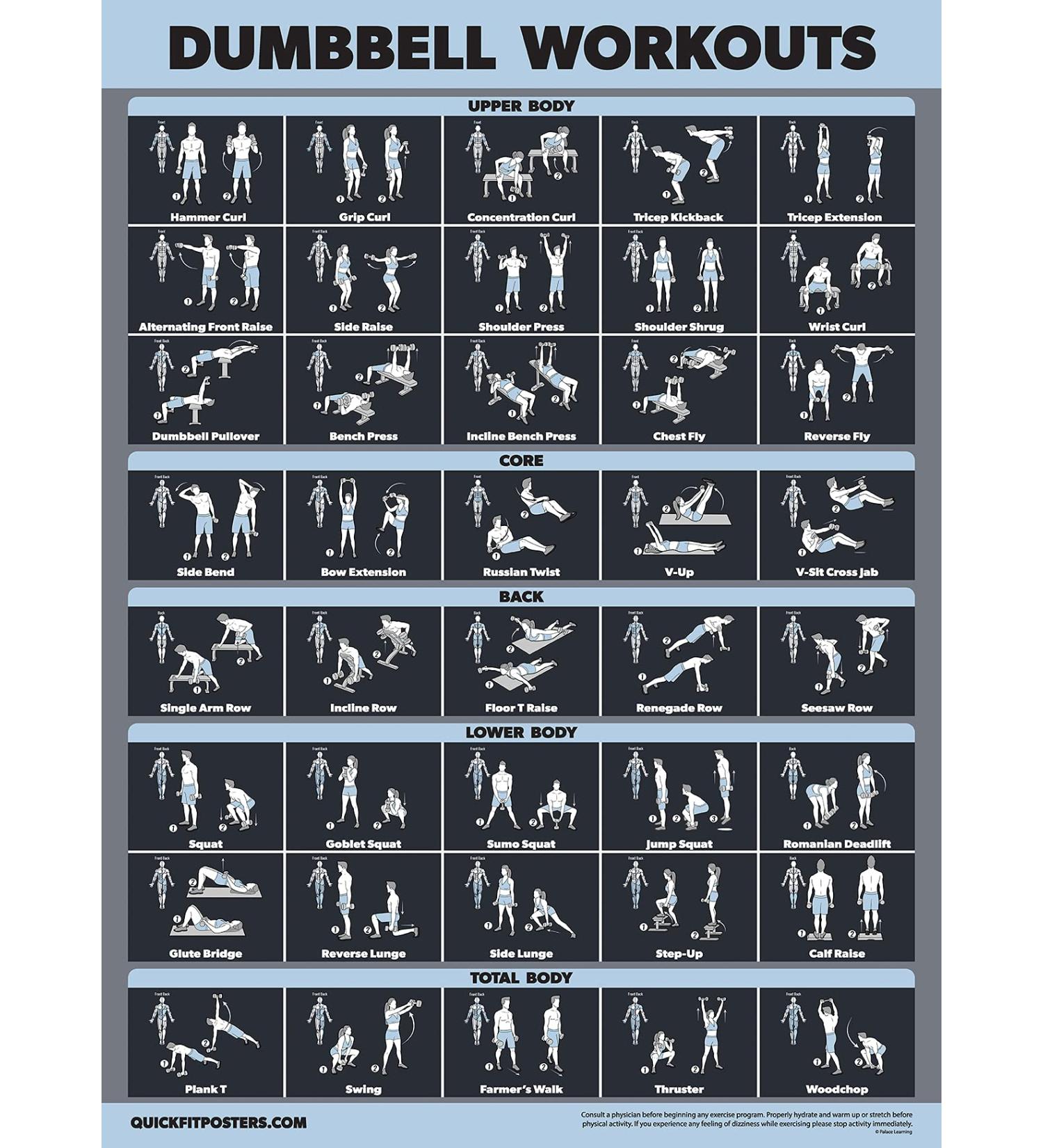 Palace Learning Dumbbell Exercise Poster - Laminated 18x24 | Perfect for Home Office Fitness - Buy Online on GoSupps.com