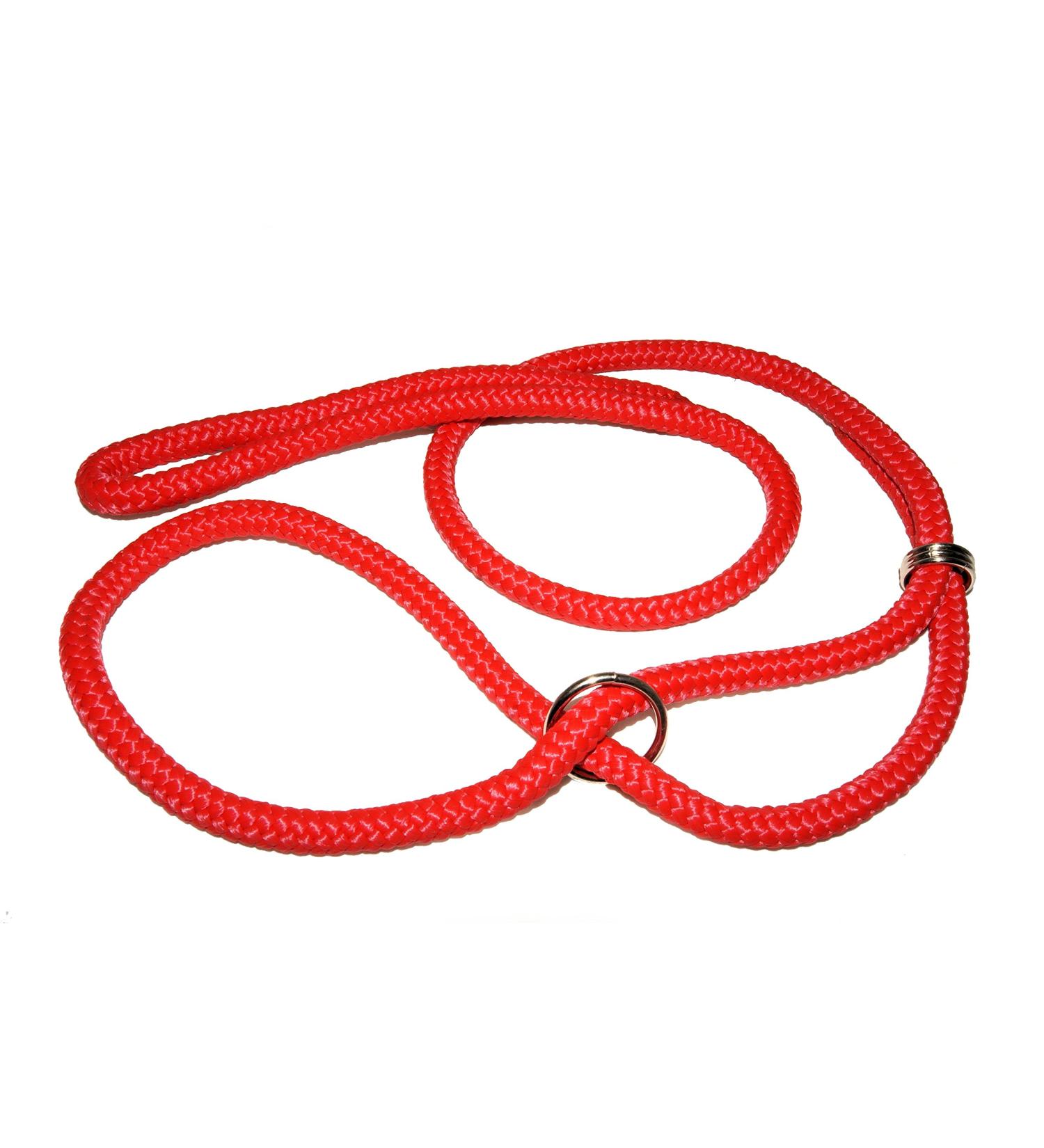 Zooleszcz Red Dog Training Headcollar Halter Lead Rope Slip Choker 120cm (12/120)