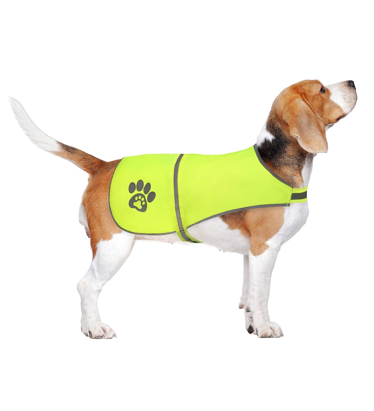 Spofly Neon Yellow Dog Vest - High Visibility Safety Jacket for Hunting & Outdoors | XS Size with Velcro Fastener - Buy Online on GoSupps.com