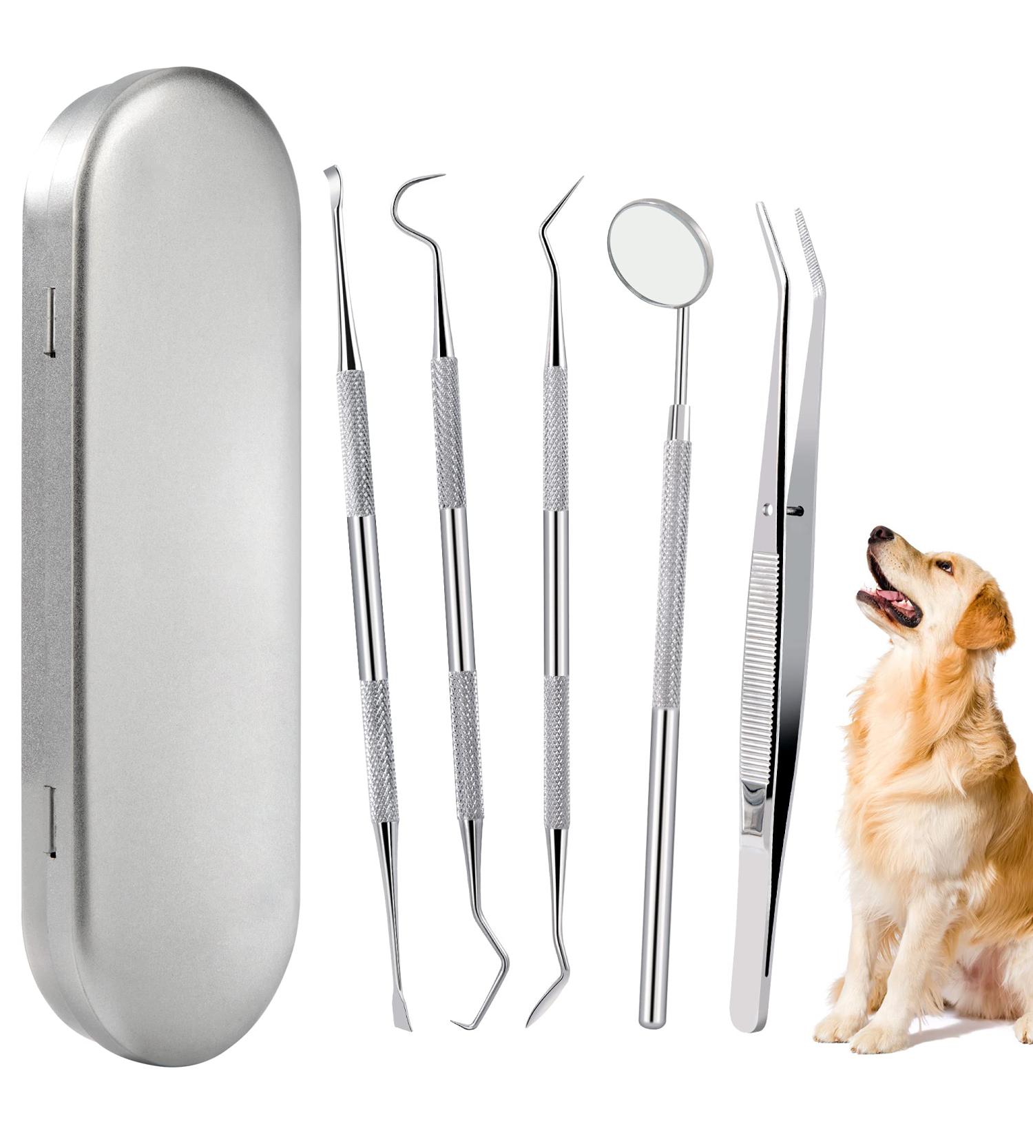 Tartar Remover Dog Tooth Cleaning Kit | Stainless Steel Dental Care Set | 5-Piece Tooth Cleaning Tool for Pets with Metal Case - Buy Online on GoSupps.com