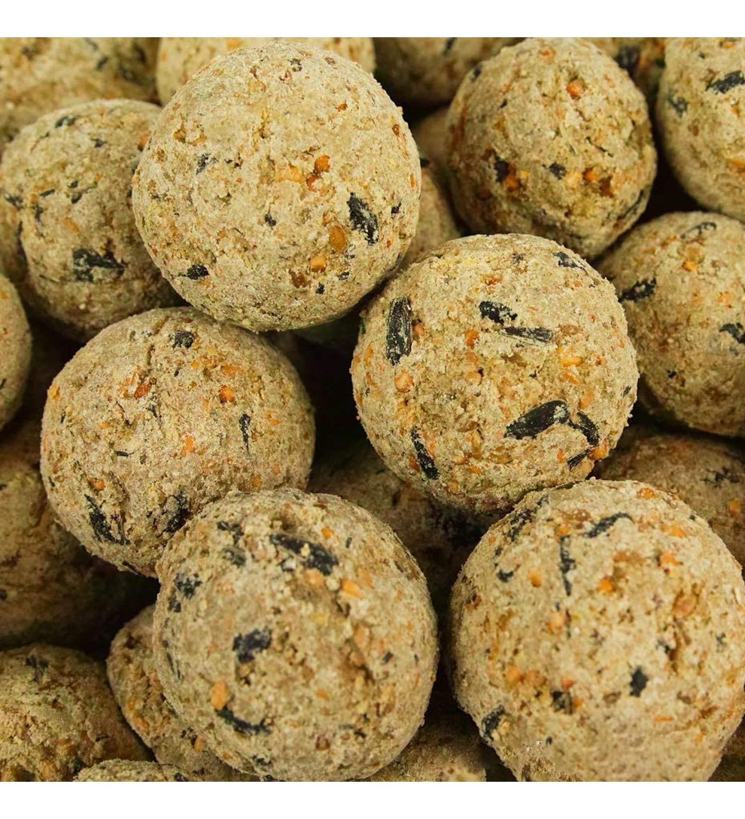 BusyBeaks Suet Fat Balls | Premium Garden Wild Bird Food | Enhanced Year-Round Formula | Naturally Blended High in Energy & Protein-Rich Feed | Full of Fresh Nutritious Fat Fibre & Moisture (10 Pack) 10 count (Pack of 1) - Buy Online on GoSupps.com