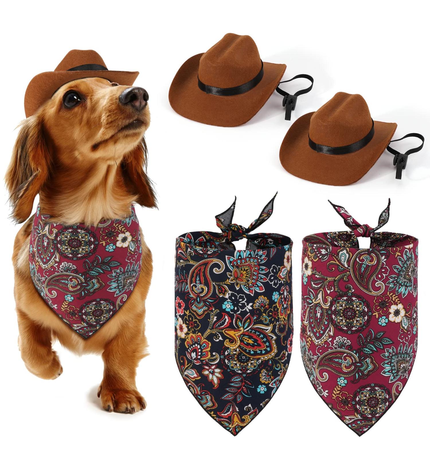 Jupsk Pet Dogs Cats Cowboy Costume Hats and Bandanas Scarf Set of 4 Pet Cowboy Caps and Triangle Scarves Accessories for Puppy Kitten Pet Party Festival and Daily Wearing Decoration - Buy Online on GoSupps.com
