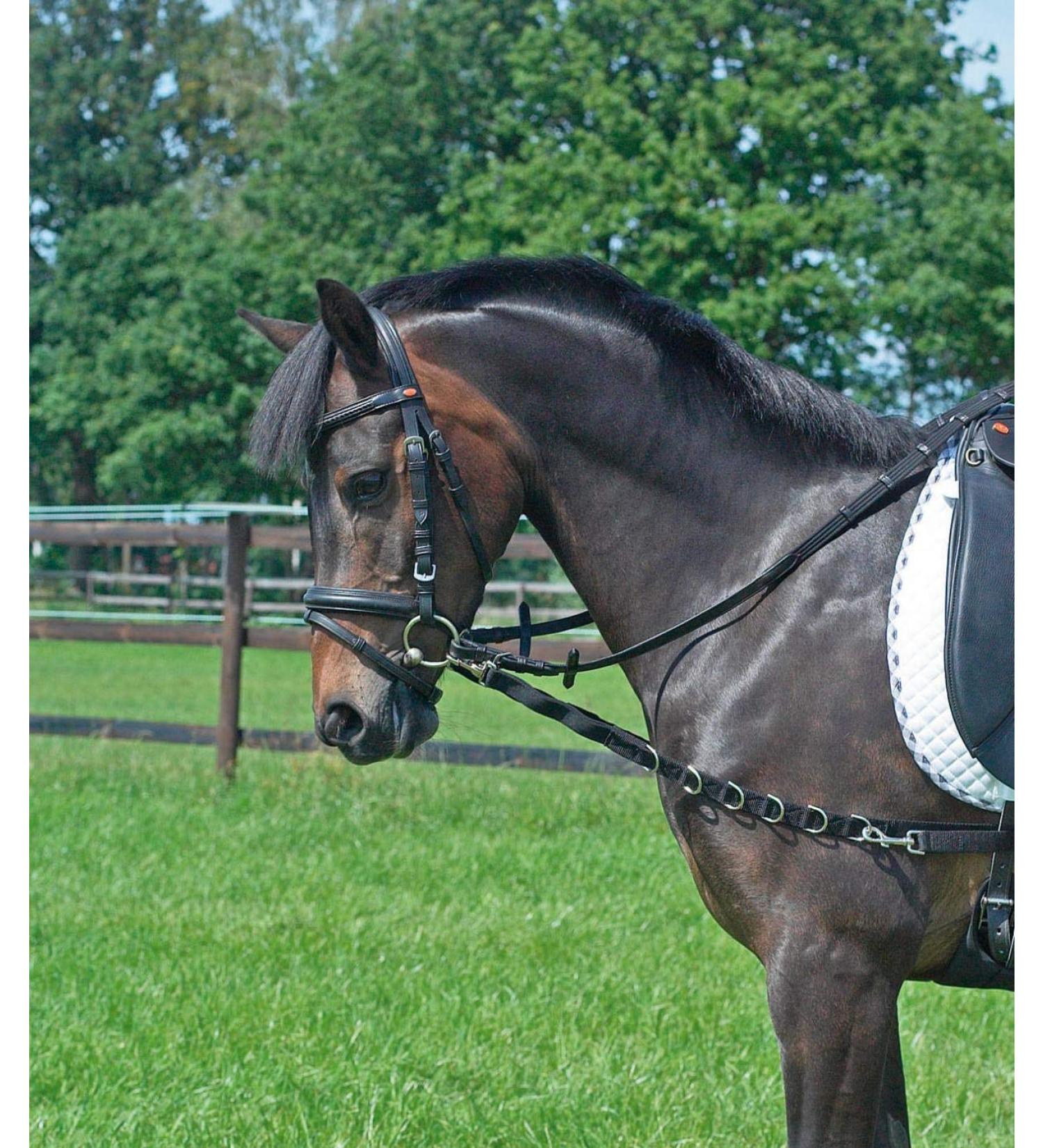 Busse side reins OESEN-Elastik SH/M-Pony black/NP