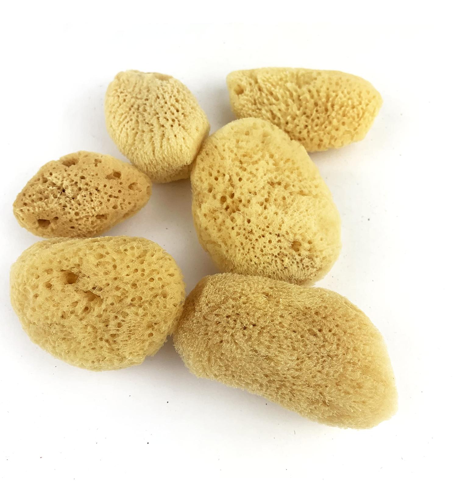 Heyiwell Natural Silk Sea Sponges - 6PC Set for Makeup Removal and Cleansing - Buy Online on GoSupps.com
