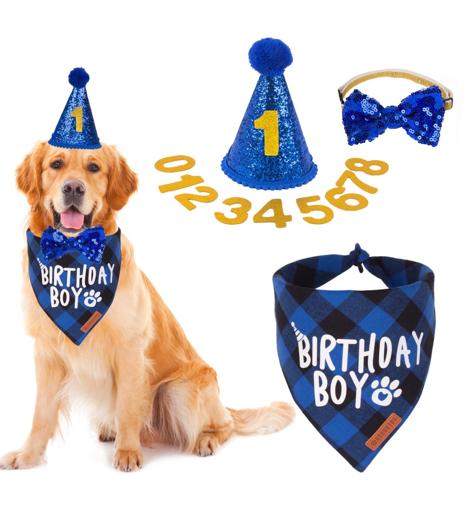 Adoggygo X-Large Blue Dog Birthday Party Supplies - Boy Dog Bandana & Birthday Hat with Numbers - Multi Size Options for Large & X-Large Dogs - Buy Online on GoSupps.com