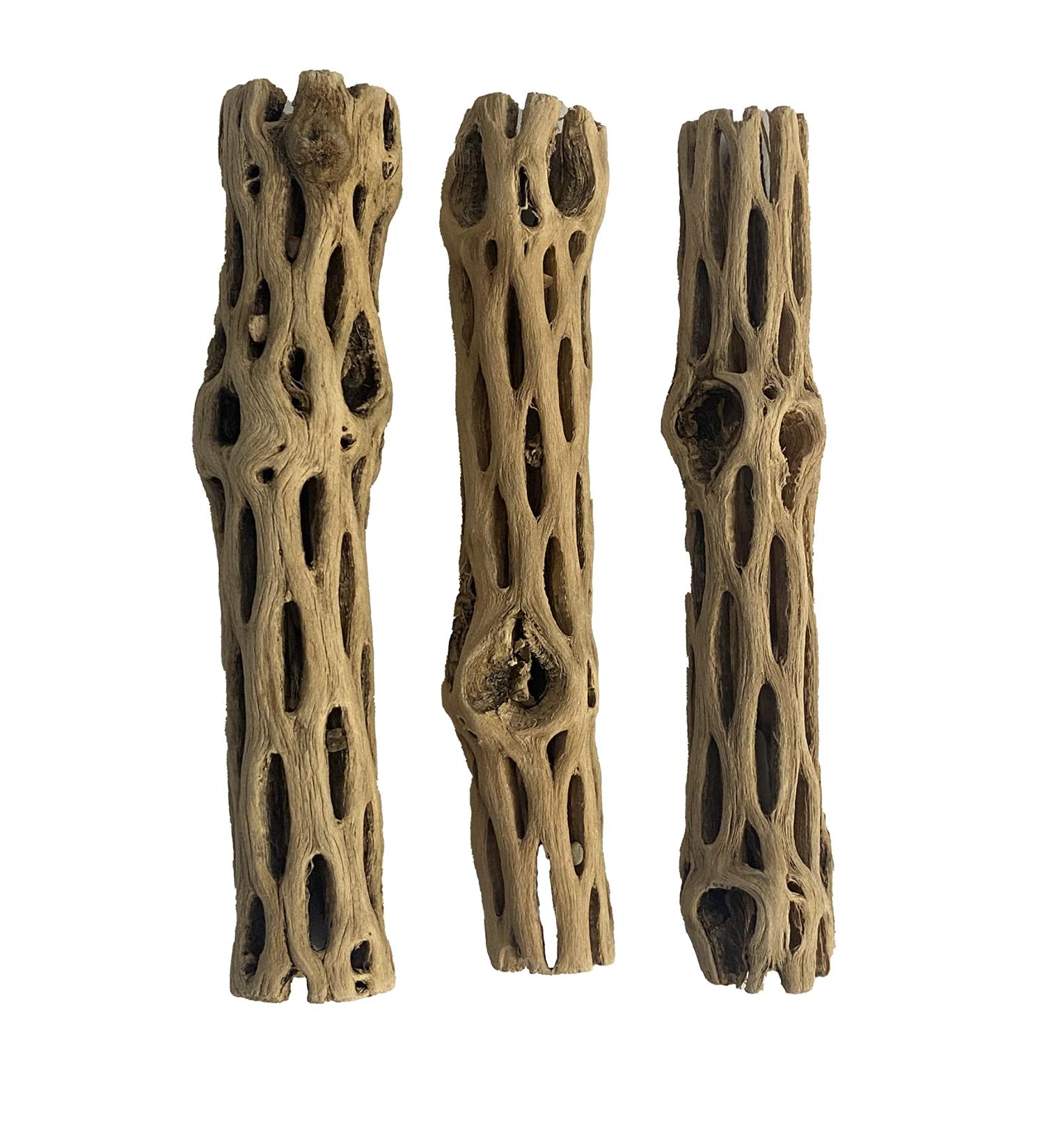 Awesome Aquatic Natural Cholla/Choya Wood 3 Pieces 6 for Shrimp Habitat and Food Treat Hermit Crabs Plecos Aquarium Decoration Lowers pH Hideouts and Chew Toys Reptiles Thorn Free Dried Organic 3 pc 6 inch - Buy Online on GoSupps.com