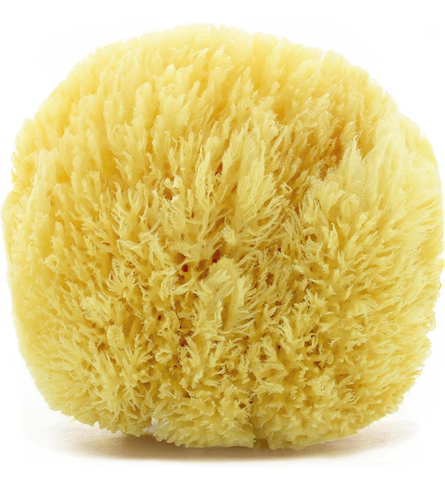 Tom & Pat Natural Bathing Sponge - Soft Greek Spa Quality for Sensitive Skin & Babies Dermatest Approved | 13-14 cm - Buy Online on GoSupps.com