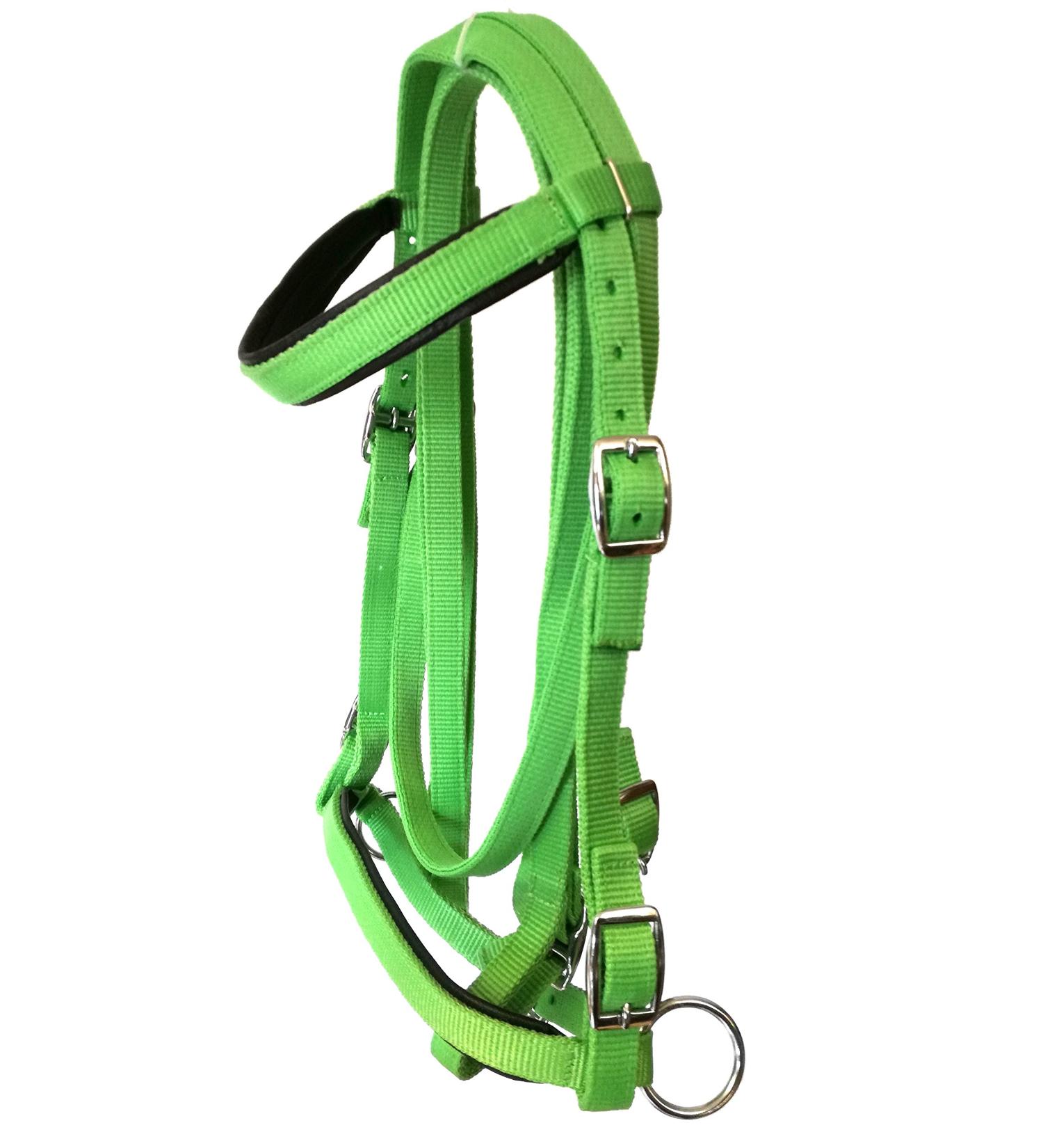 Shop JF-Reitsport Nylon Bridle Set with Reins - Bitless Cob in Green | International Shipping Available - Buy Online on GoSupps.com