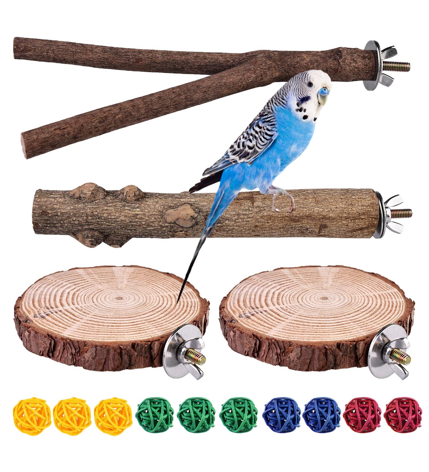 4 Natural Wood Bird Belt Rods with Rattan Balls - Budgie & Canary Cage Accessories | Vegena Nature Seat Rods Set - Buy Online on GoSupps.com