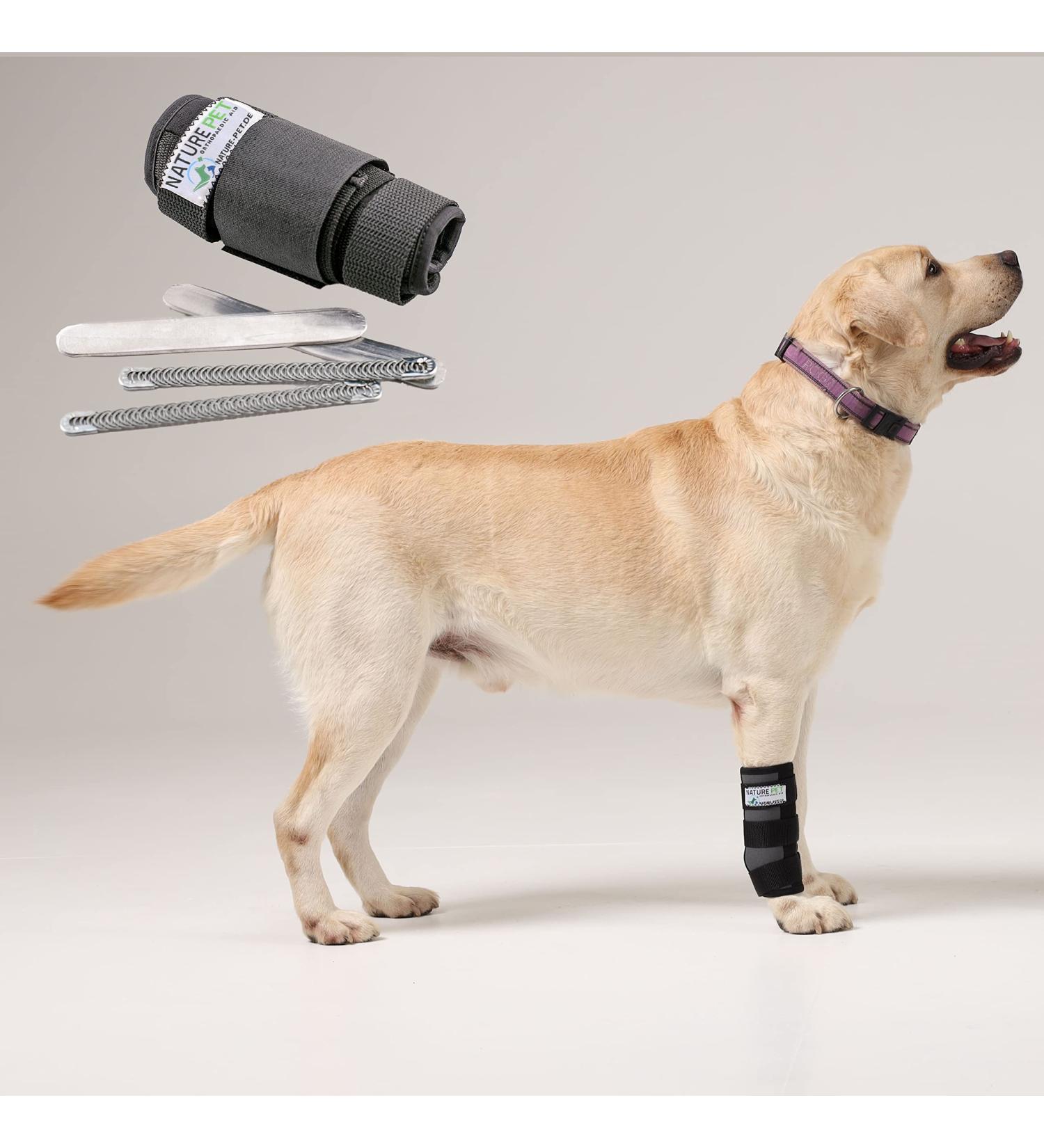 NATURE PET Premium - Dog Carpal Splint/Dog Brace/Front Legs - Grey - XL - Buy Online on GoSupps.com