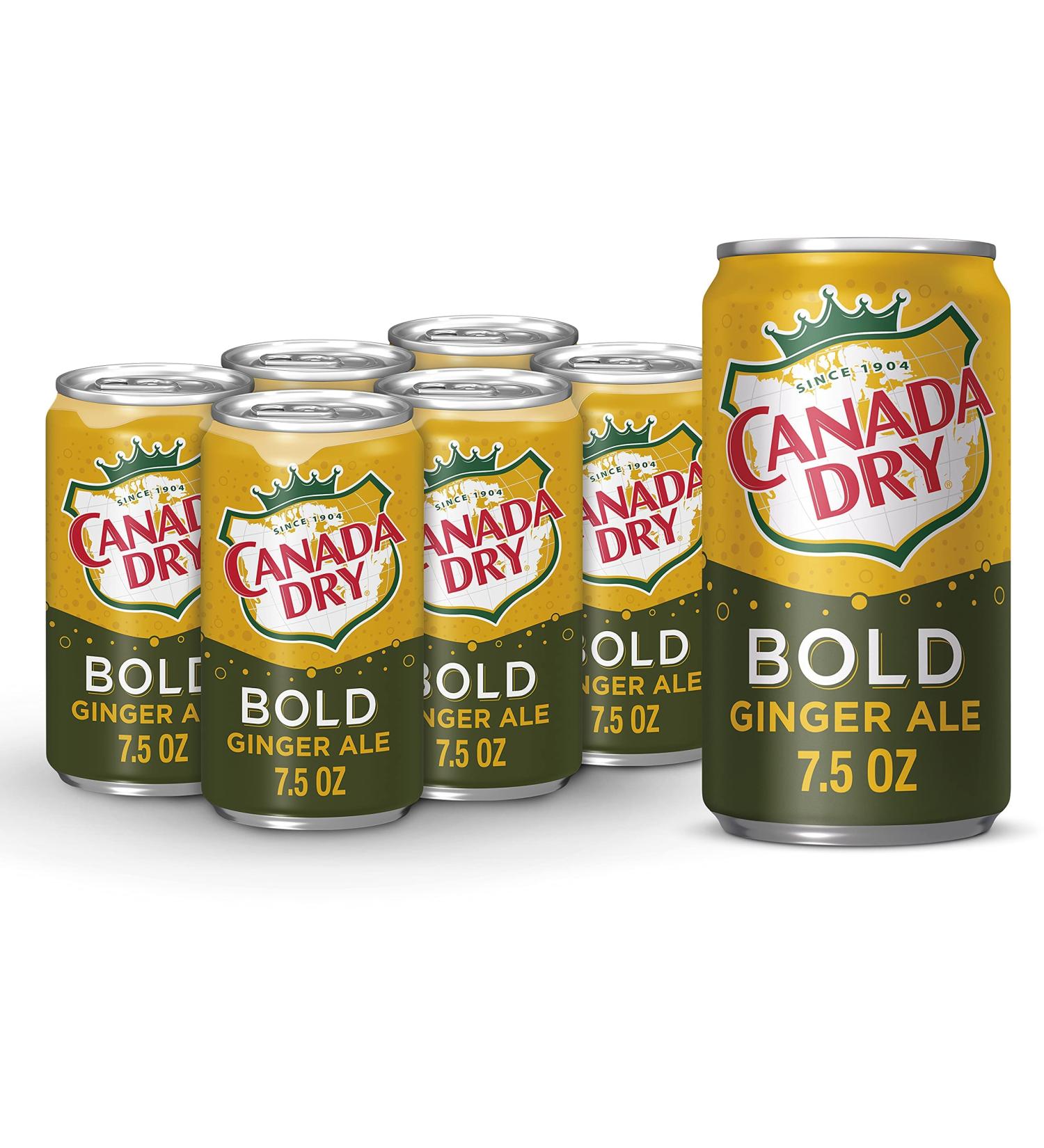 Canada Dry Bold Ginger Ale Mini Cans 7.5 fl oz - 6 Pack - Buy Online on GoSupps.com
