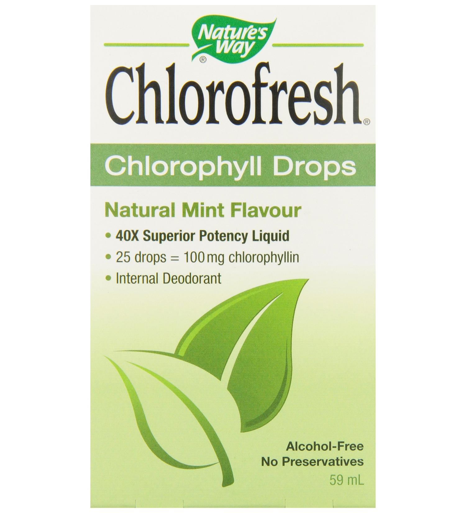 Buy Nature's Way Chlorofresh Chlorophyll Drops - Mint Flavor, 2 fl oz | Freshen Up! - Buy Online on GoSupps.com